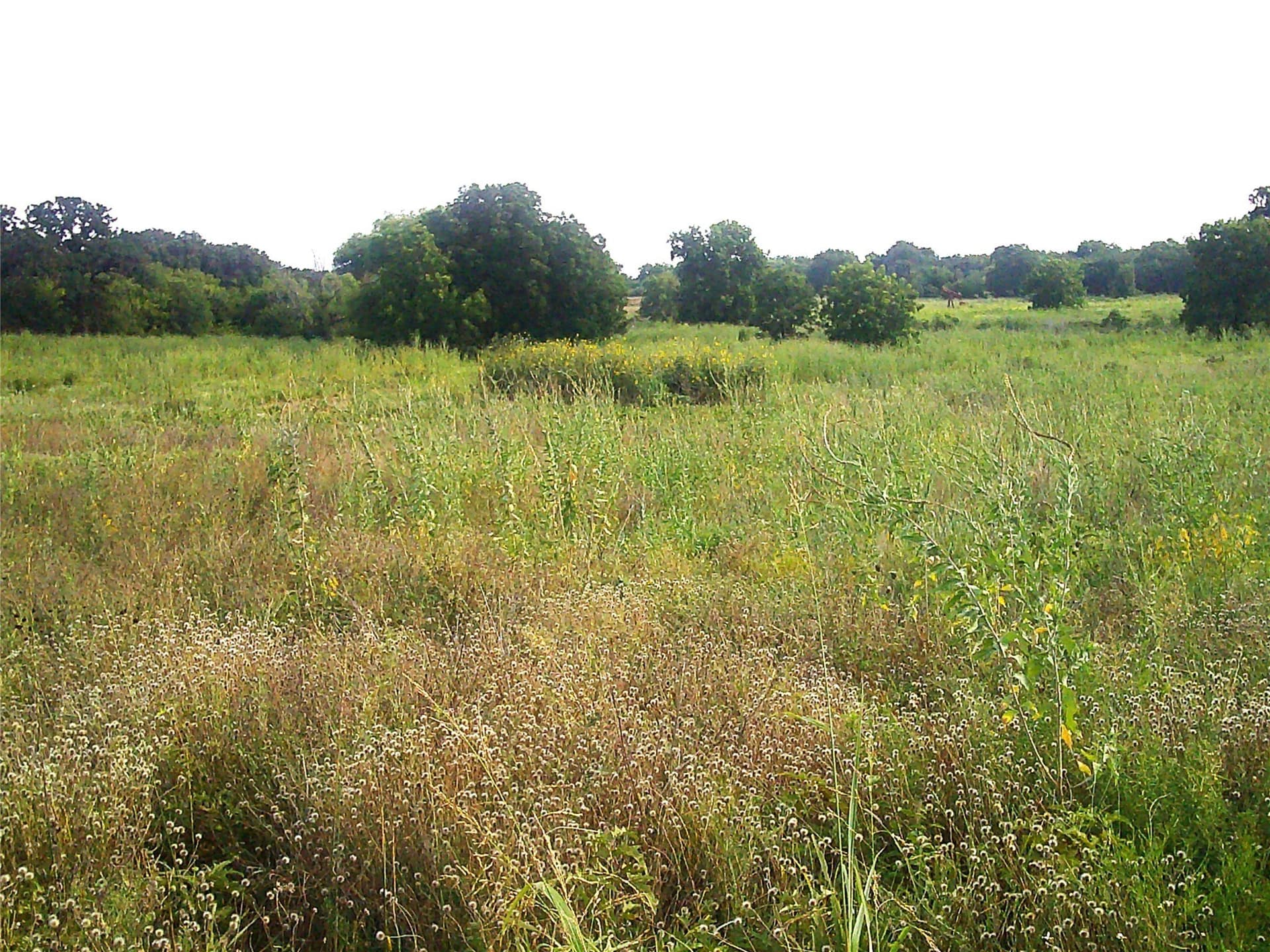 11 acres in Montague County - photo 10