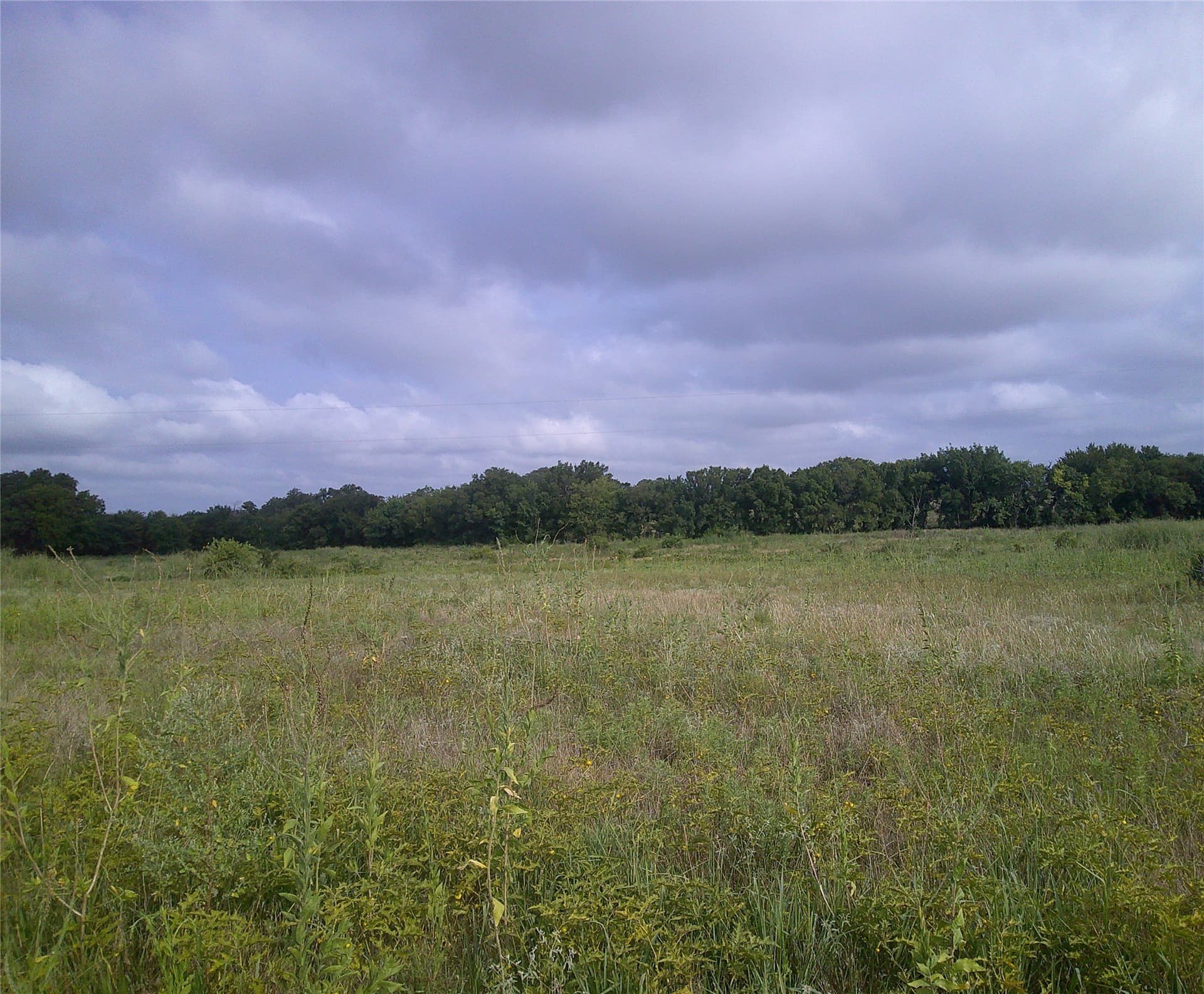 11 acres in Montague County - photo 8