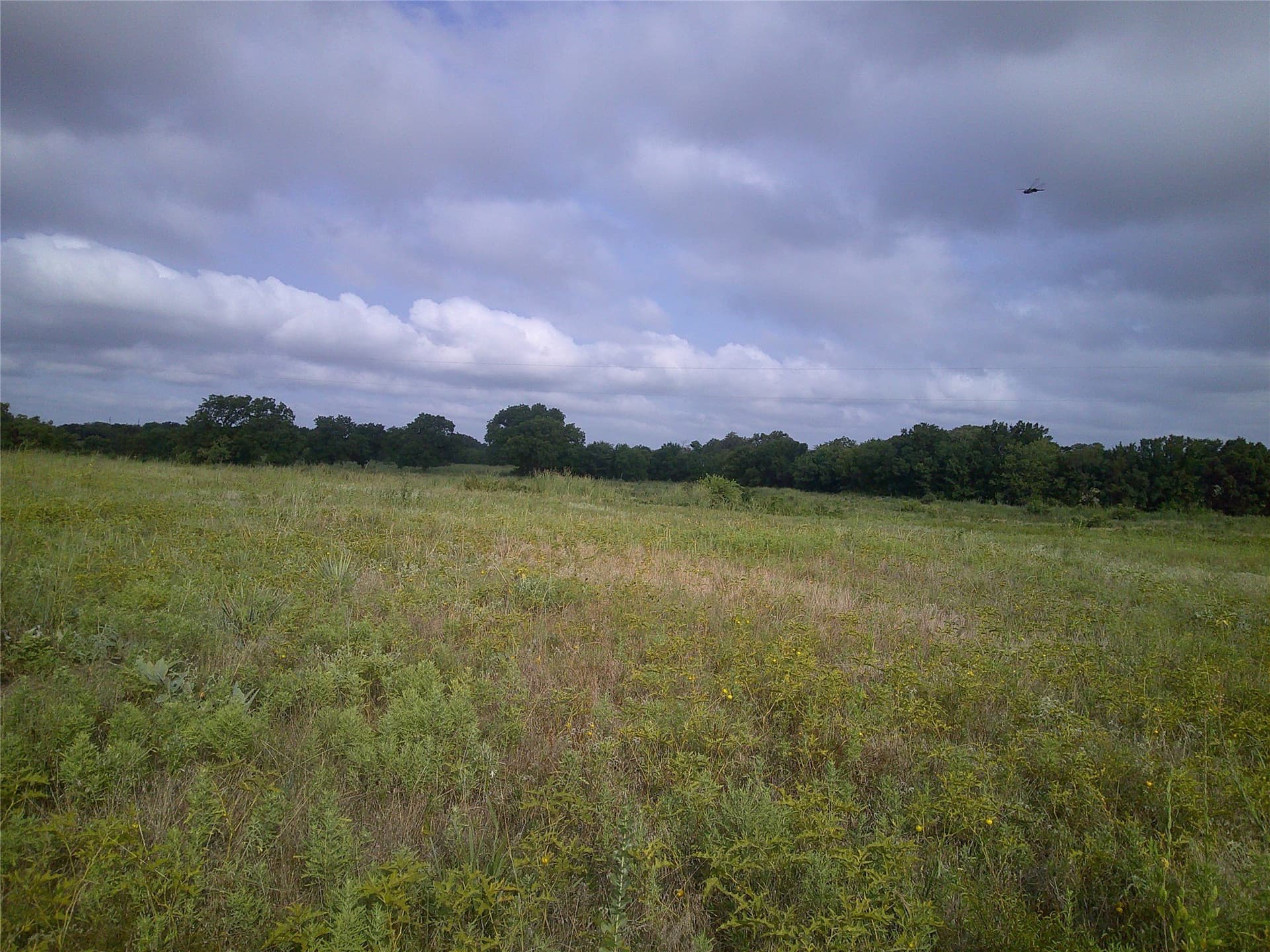 11 acres in Montague County - photo 3