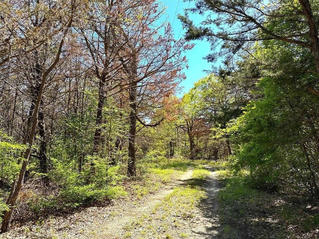 45.02 acres in Navarro County gallery image 4