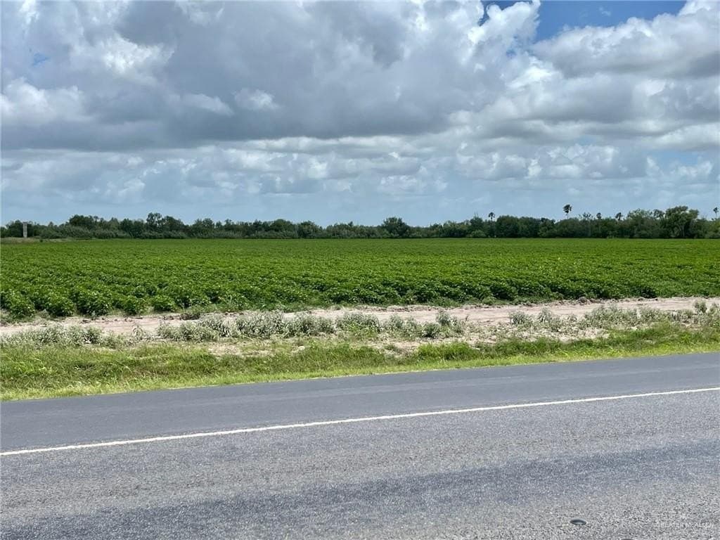 25.47 acres in Hidalgo County gallery image 2