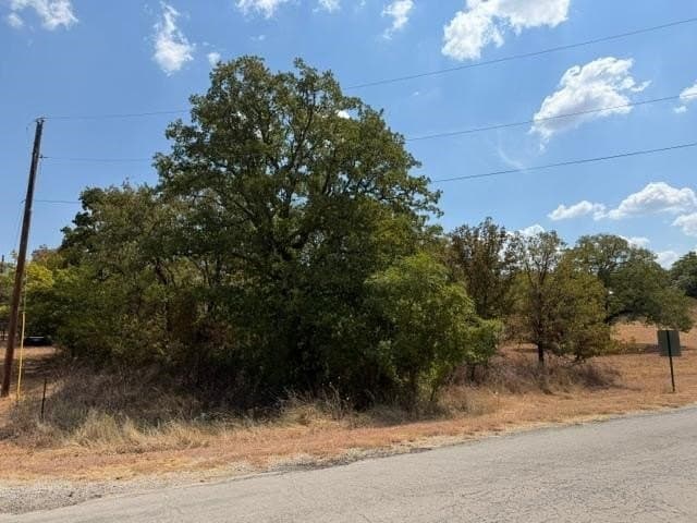 0.99 acres in Montague County - photo 2