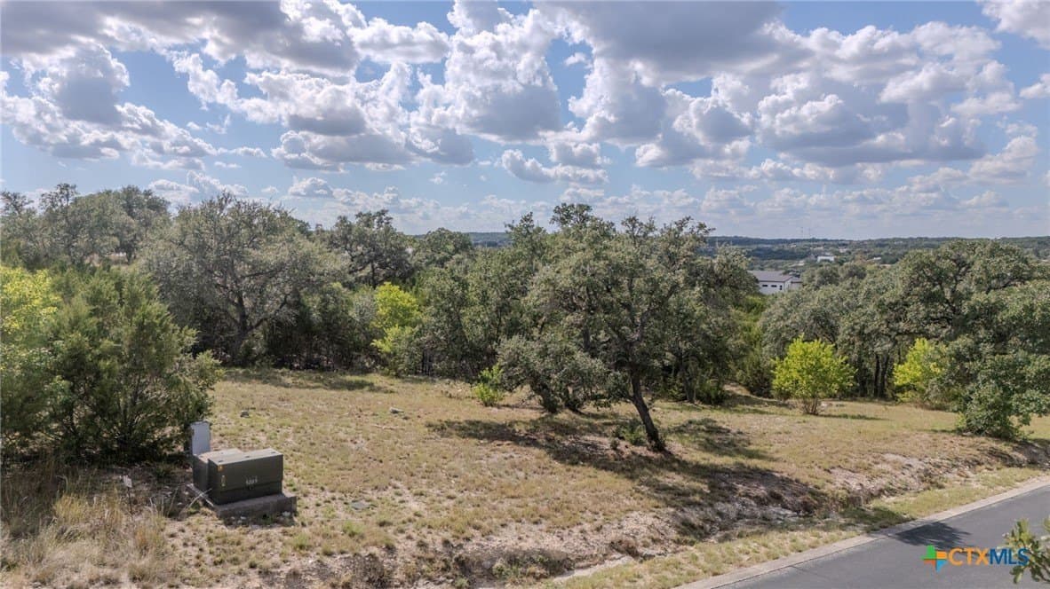 0.55 acres in Comal County gallery image 3