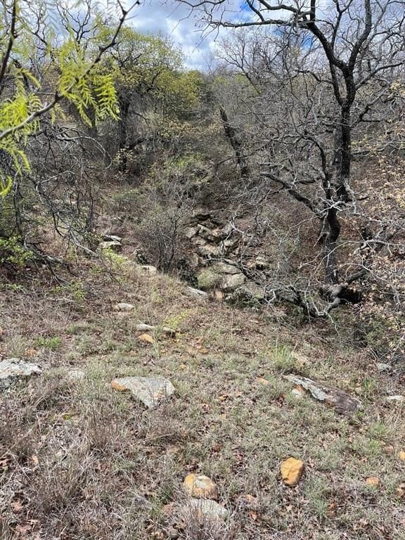 17.18 acres in Jack County gallery image 3