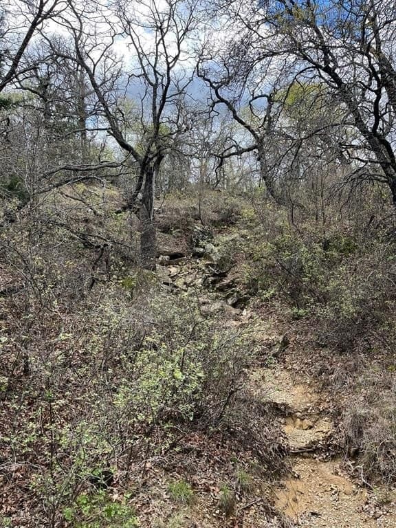 17.18 acres in Jack County gallery image 2