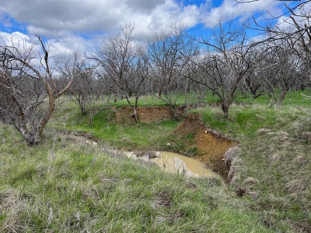 17.18 acres in Jack County gallery image 4