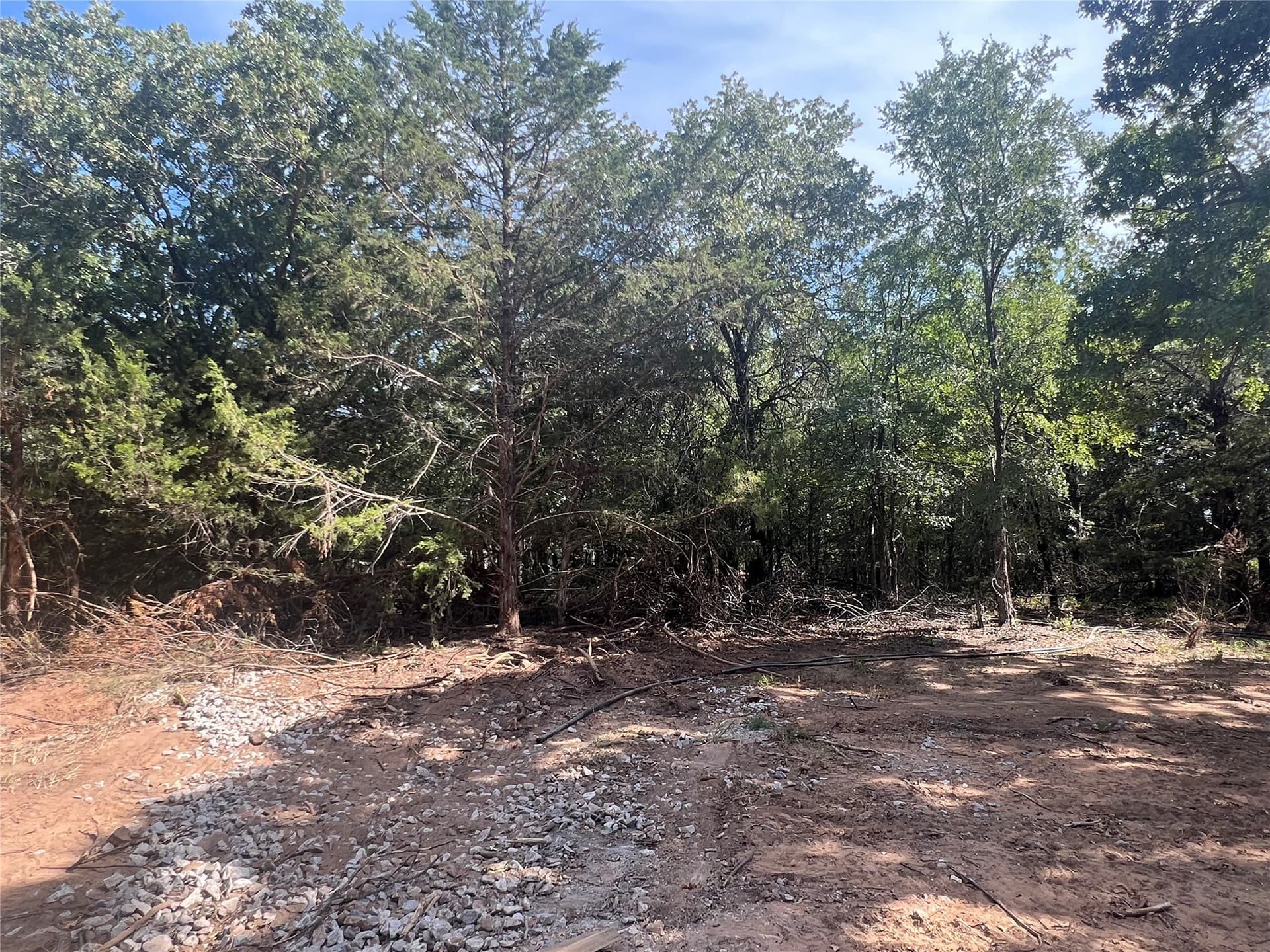 0.33 acres in Montague County - photo 8