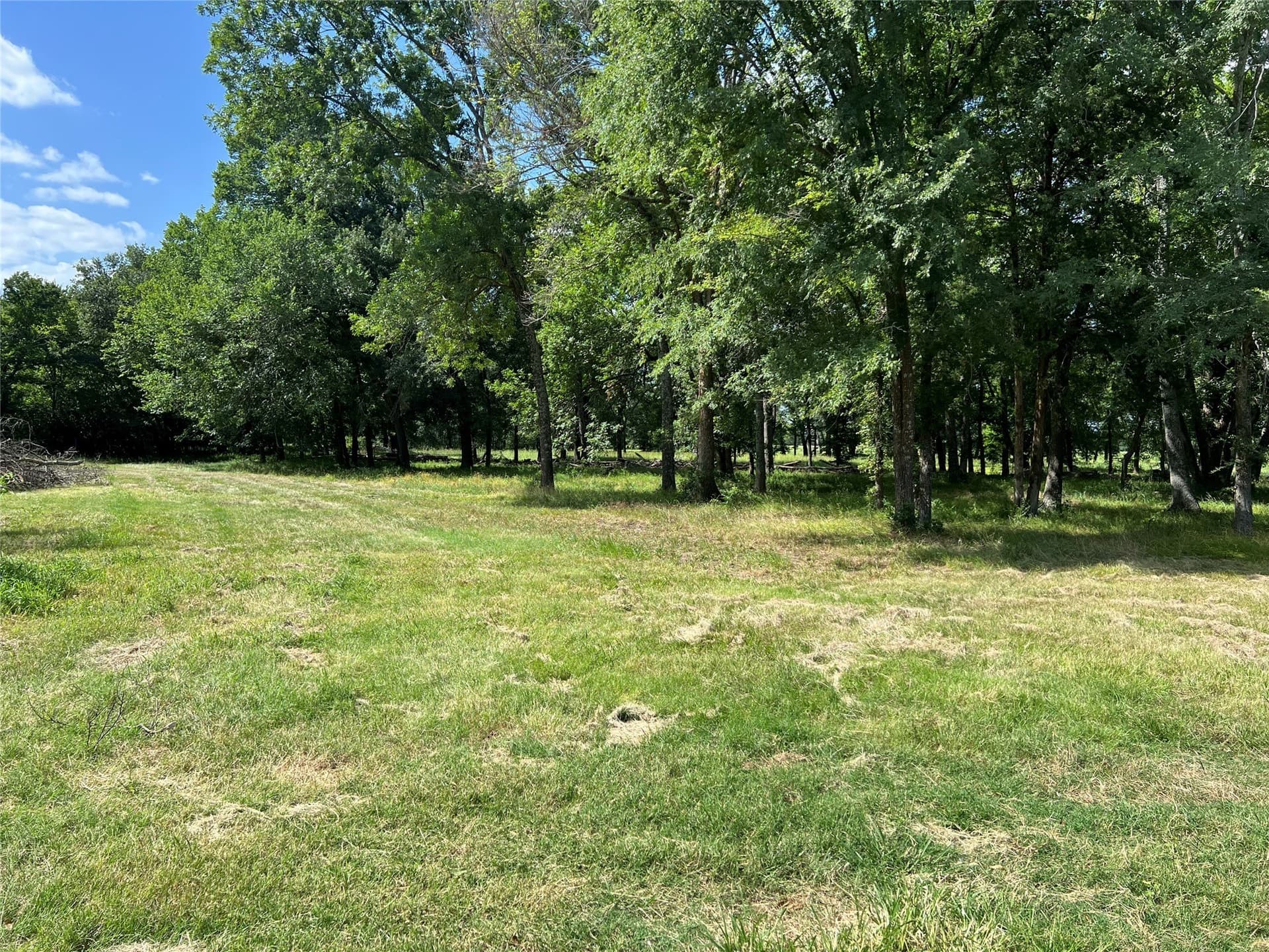 60.4 acres in Hopkins County - photo 23