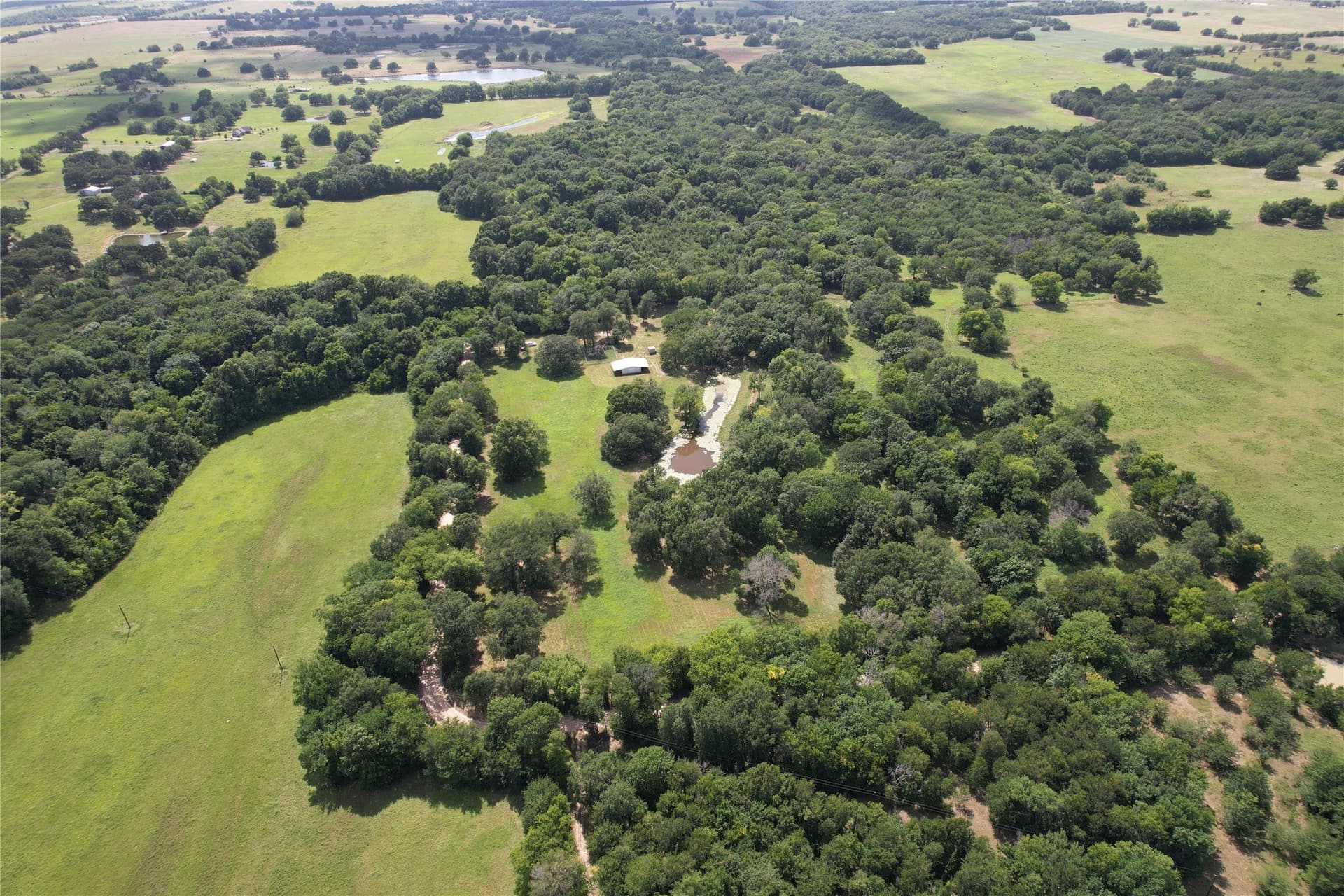 60.4 acres in Hopkins County - photo 7