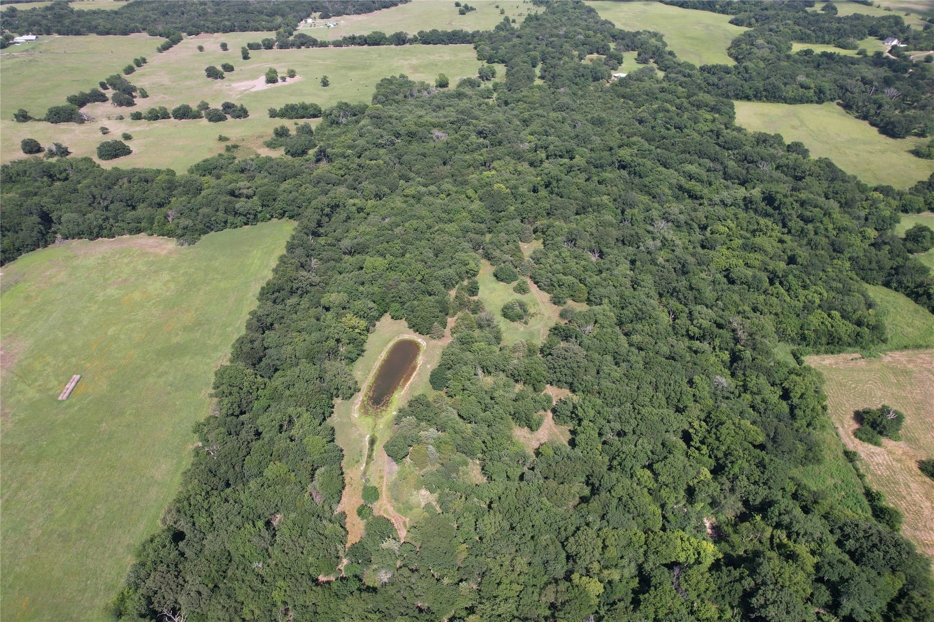 60.4 acres in Hopkins County - photo 15