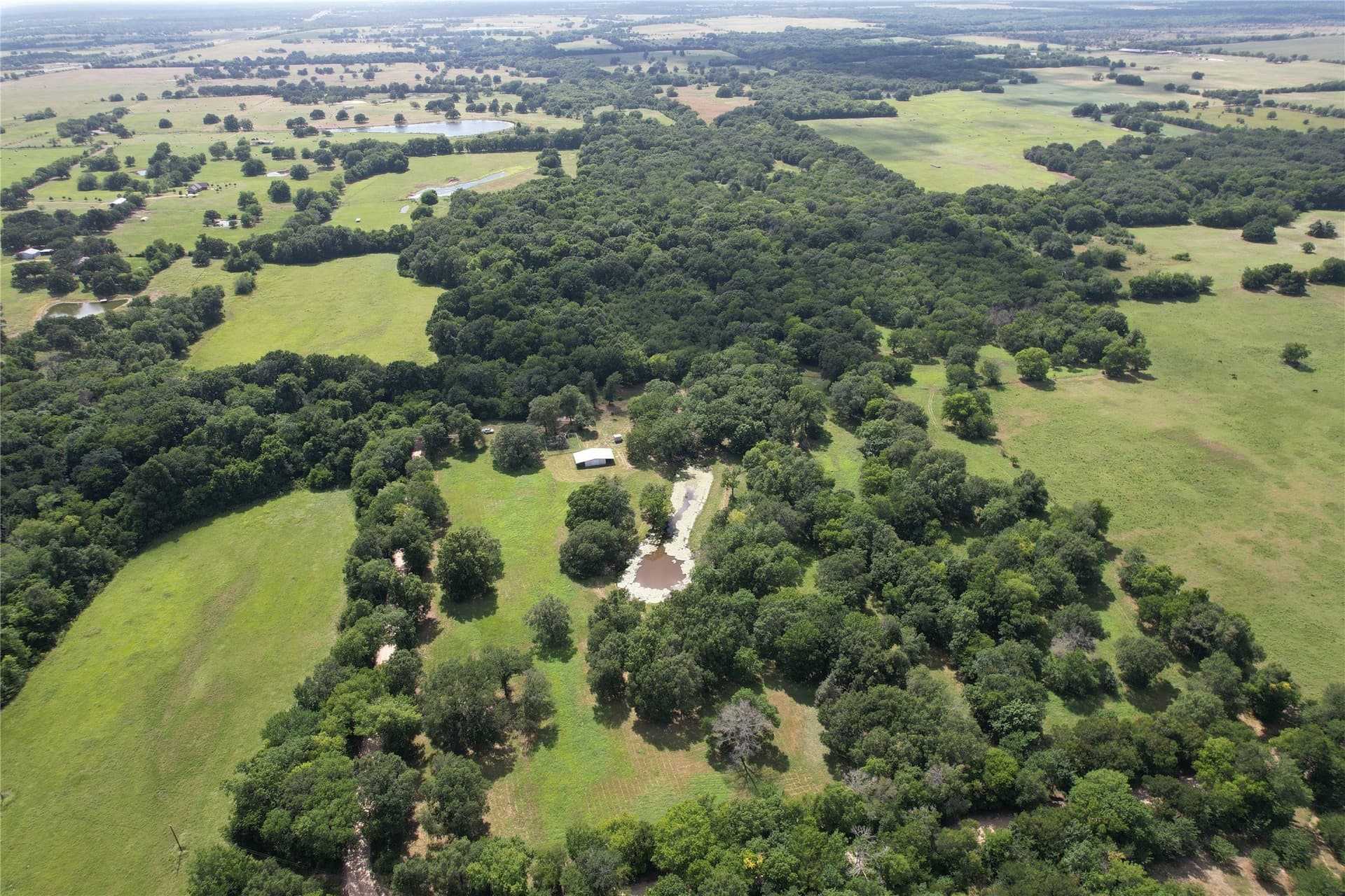 60.4 acres in Hopkins County - photo 9