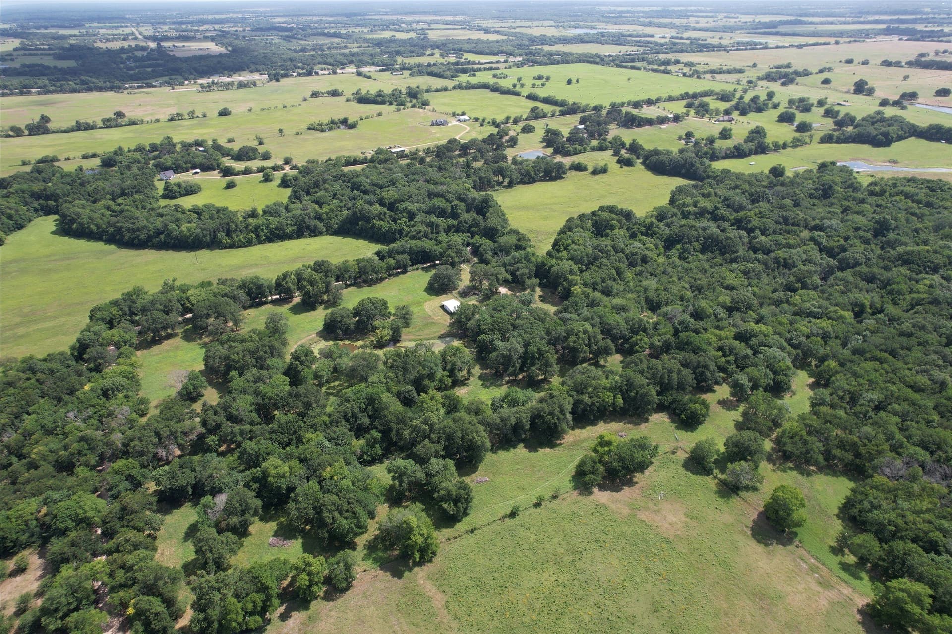 60.4 acres in Hopkins County - photo 10