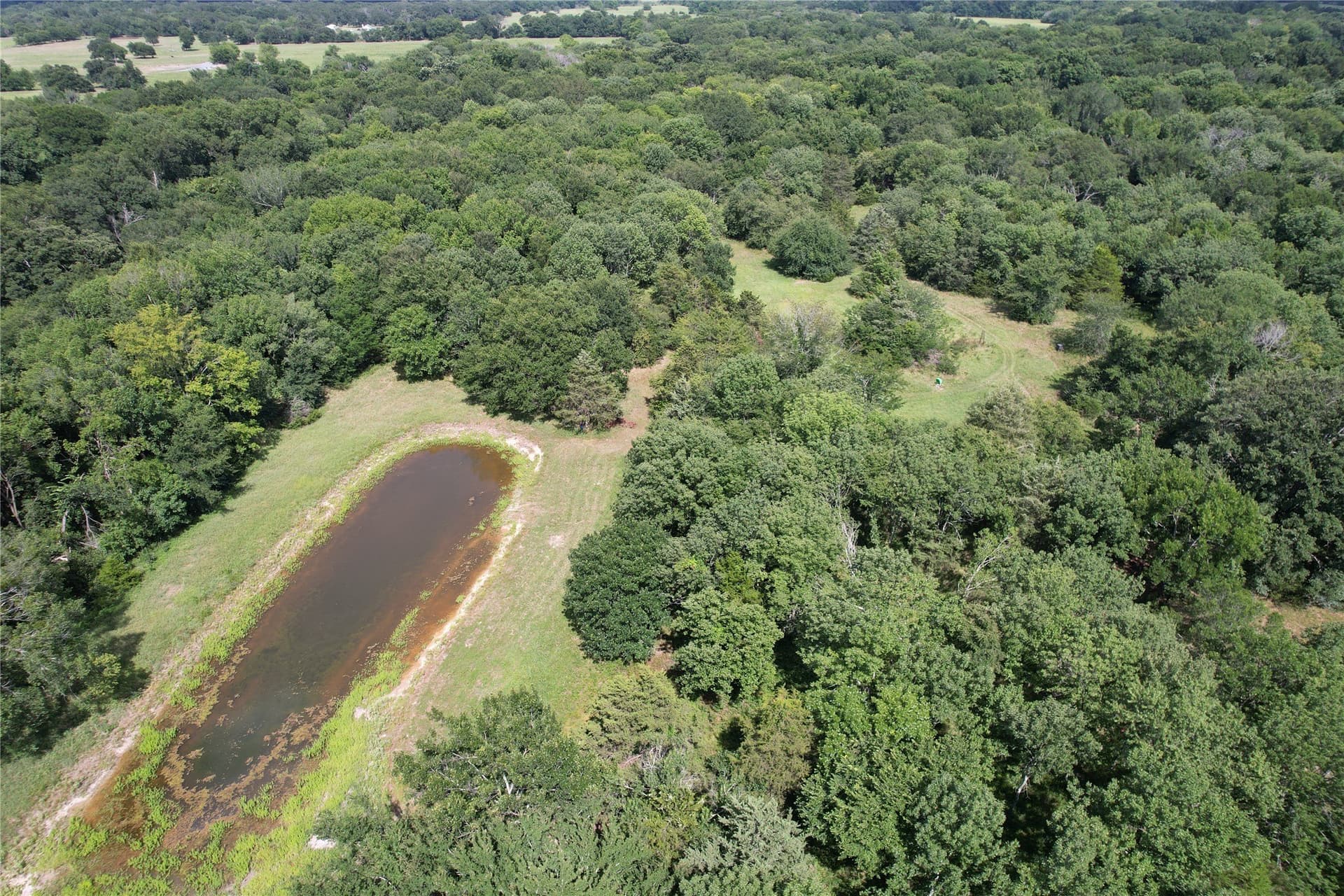 60.4 acres in Hopkins County - photo 16