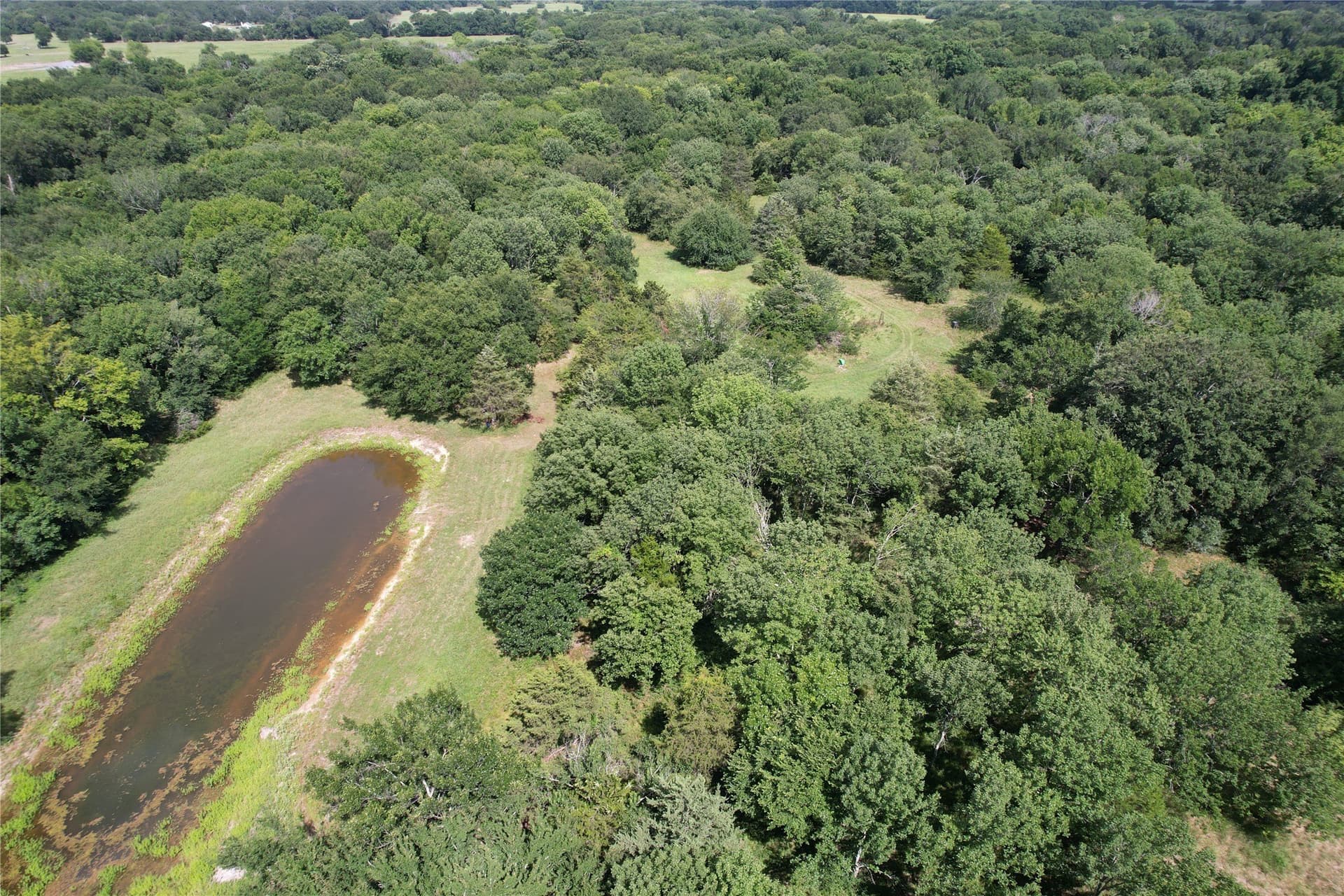 60.4 acres in Hopkins County - photo 17