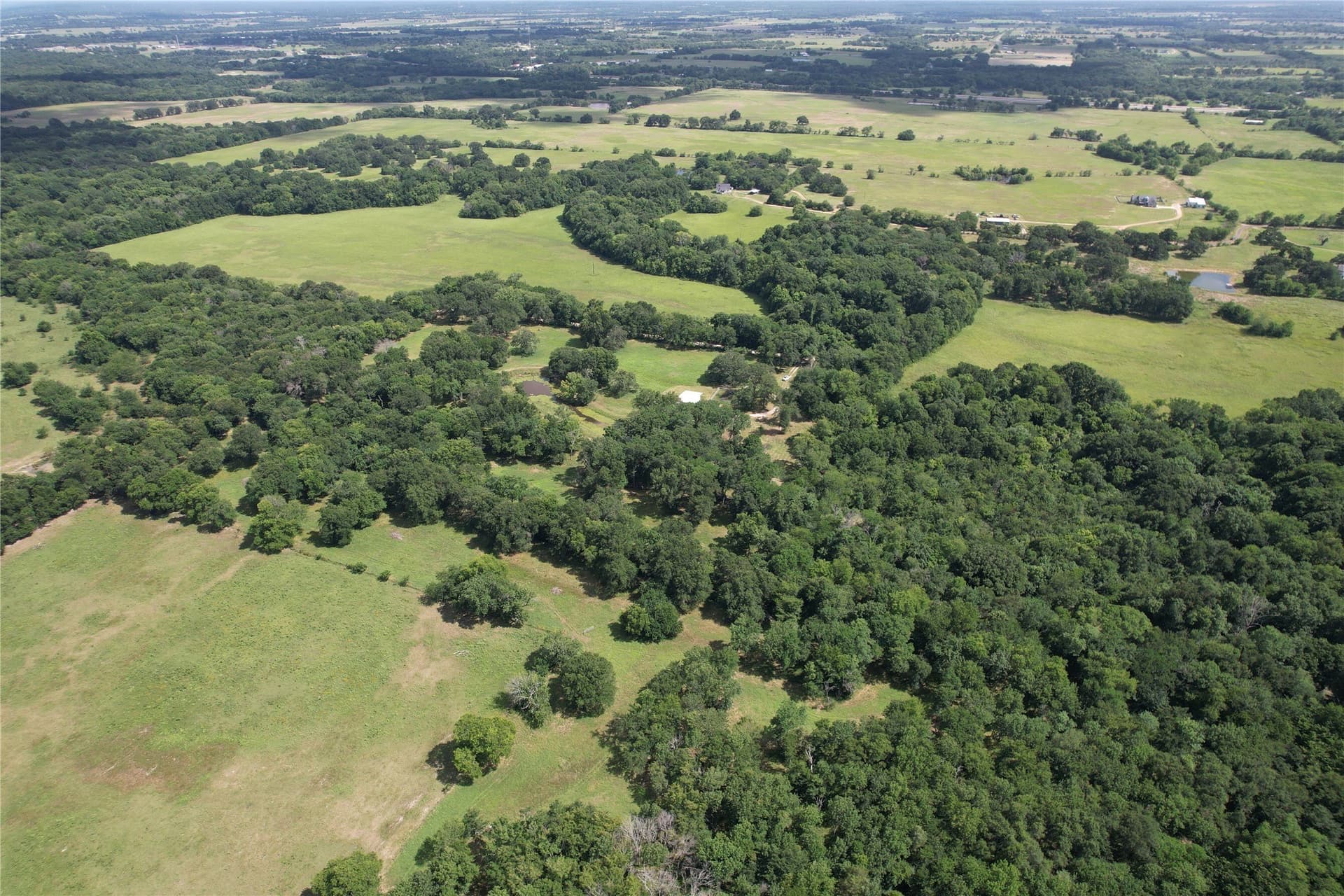 60.4 acres in Hopkins County - photo 12