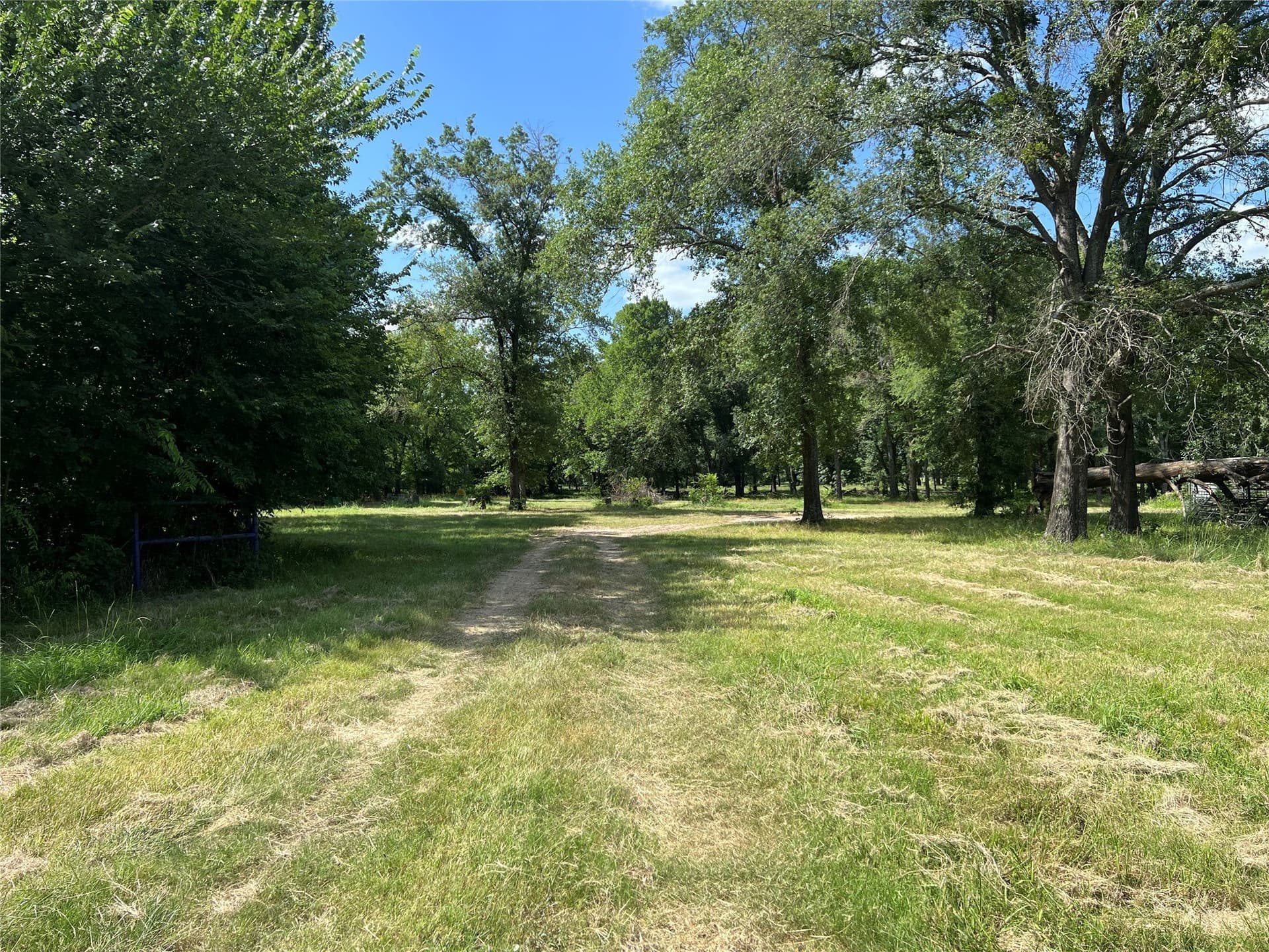 60.4 acres in Hopkins County - photo 22