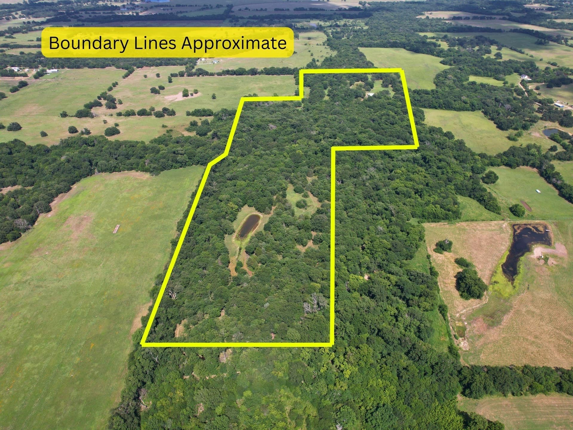 60.4 acres in Hopkins County - photo 2