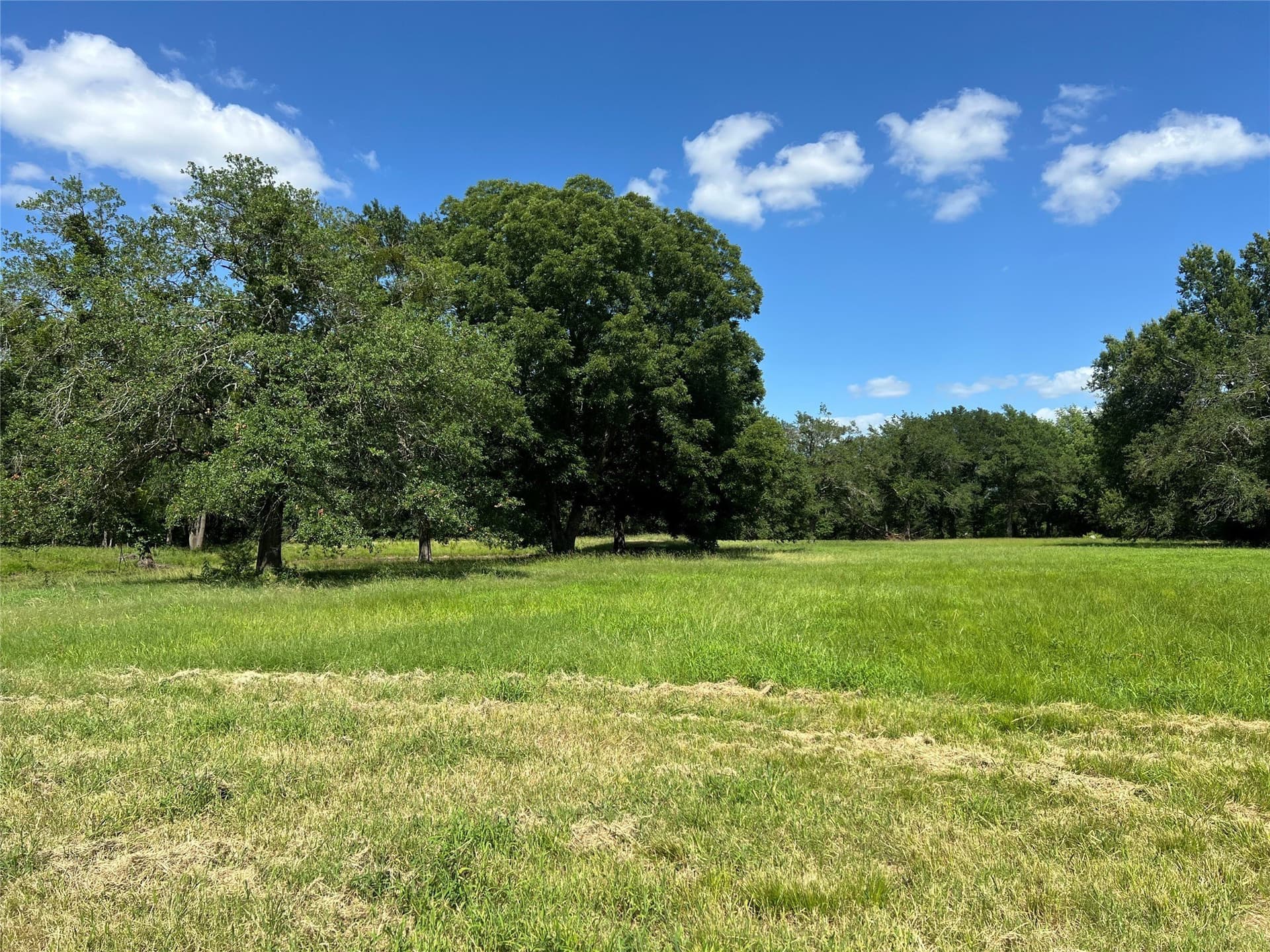 60.4 acres in Hopkins County - photo 25