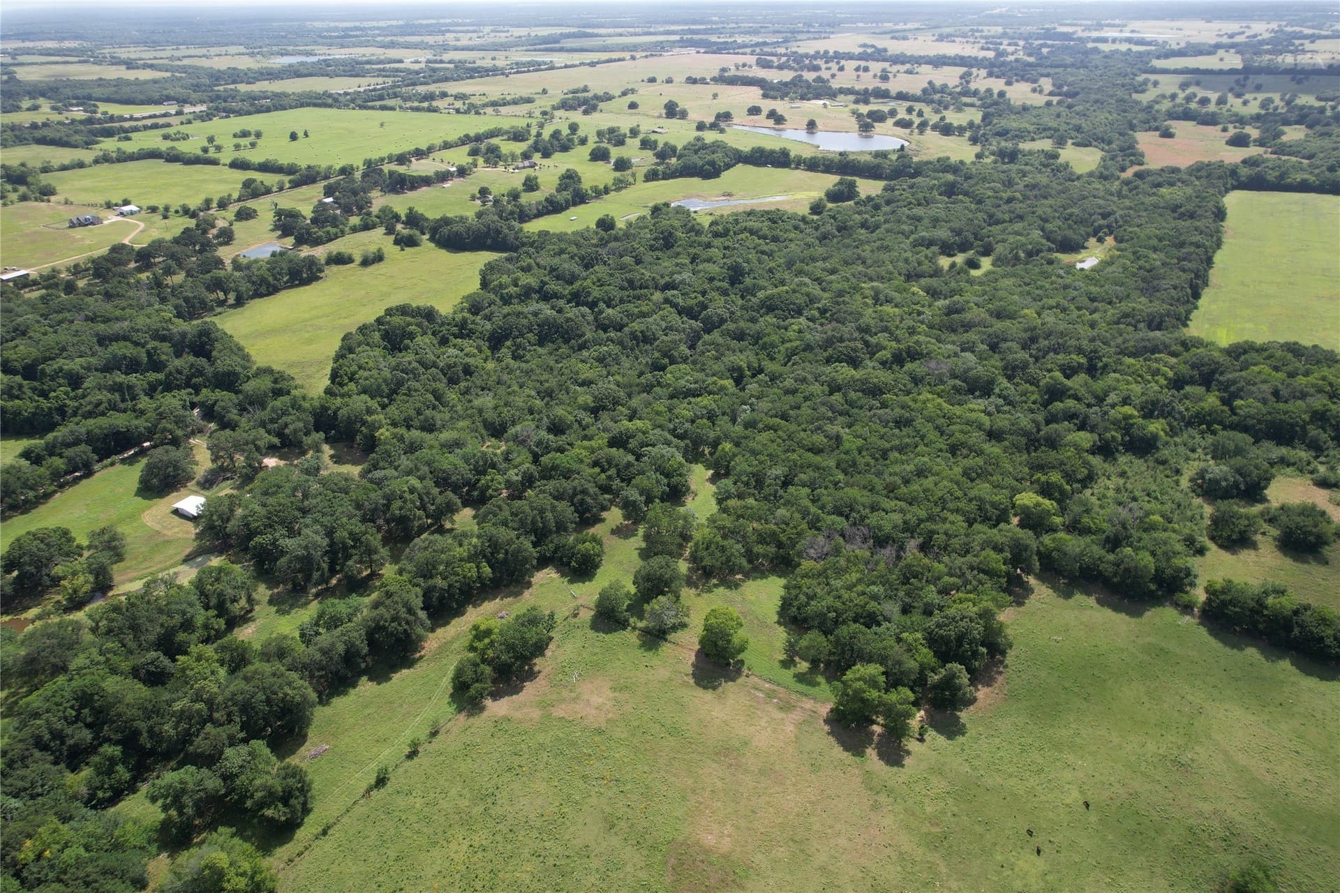 60.4 acres in Hopkins County - photo 11