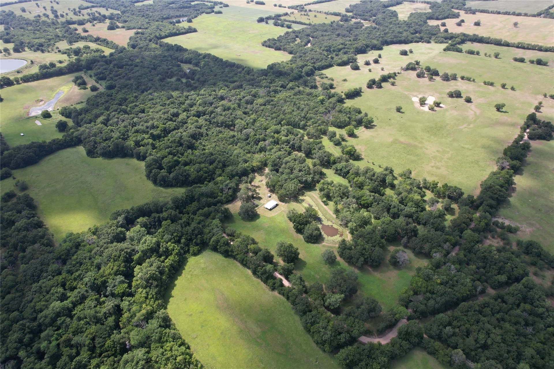 60.4 acres in Hopkins County - photo 20