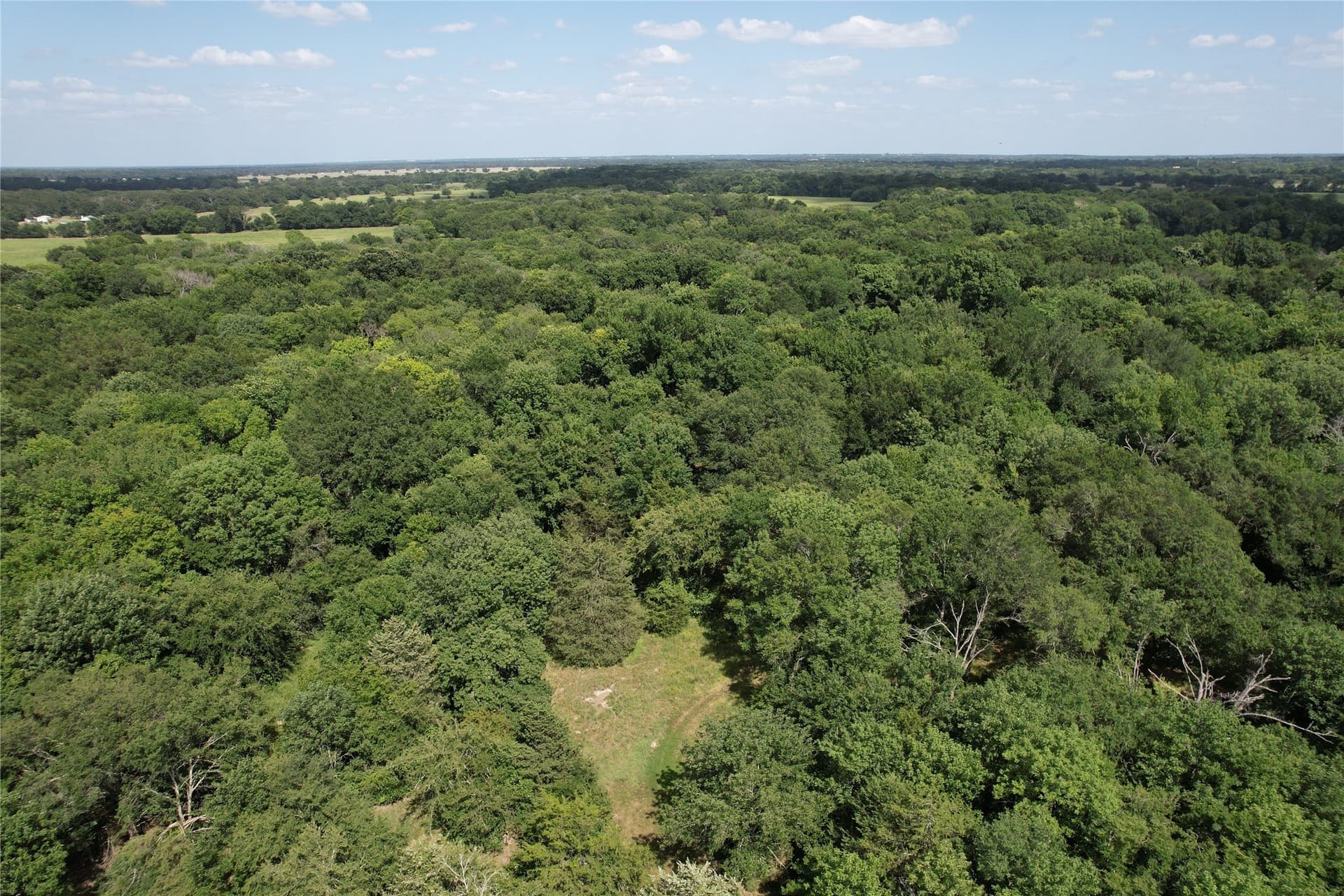 60.4 acres in Hopkins County - photo 19