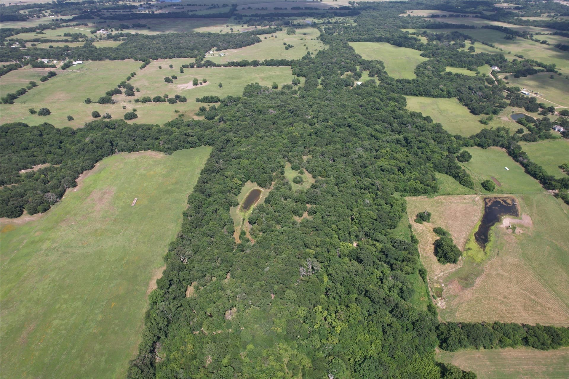 60.4 acres in Hopkins County - photo 14
