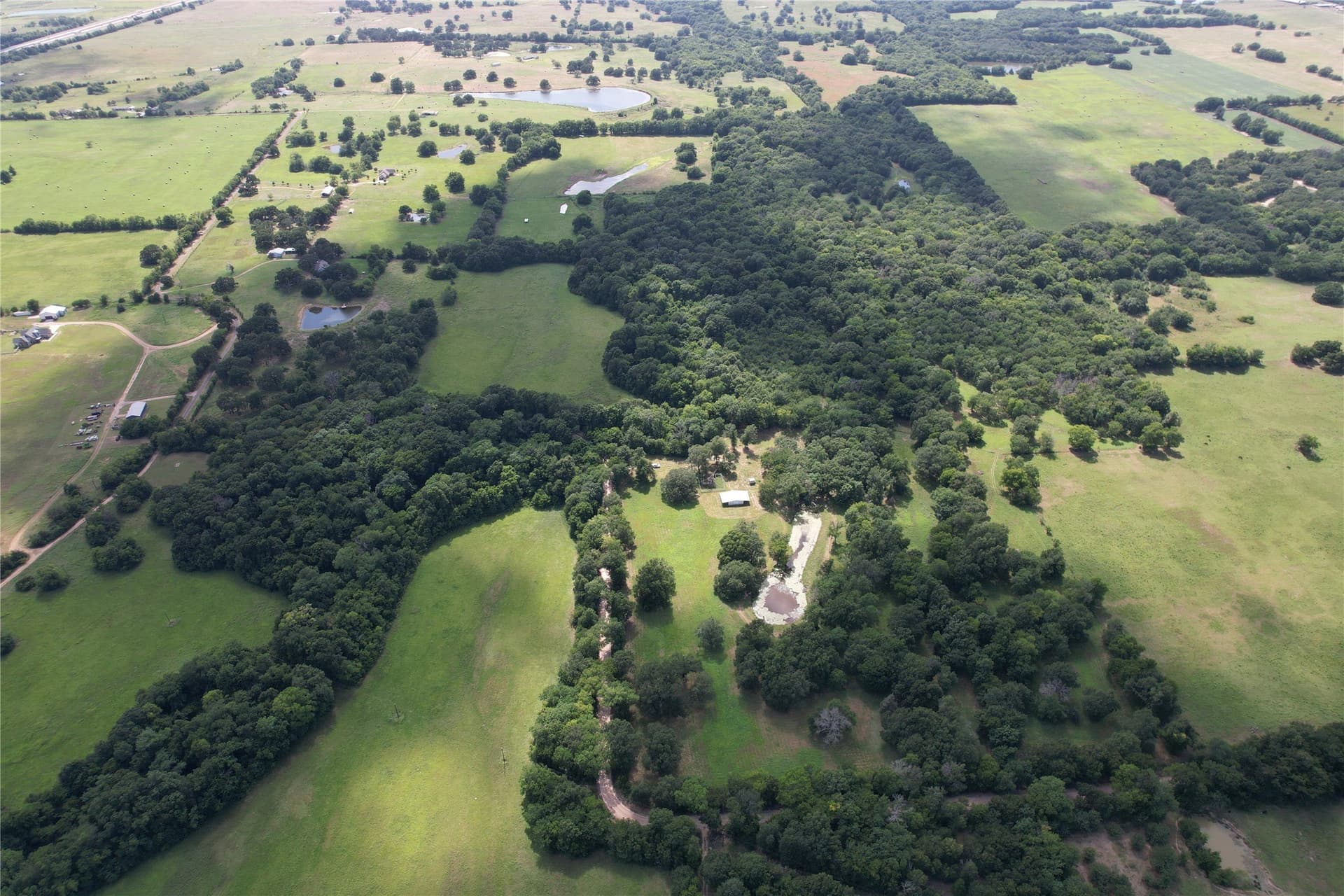 60.4 acres in Hopkins County - photo 21