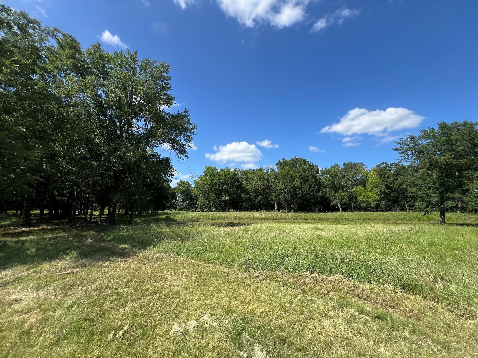 60.4 acres in Hopkins County - photo 27
