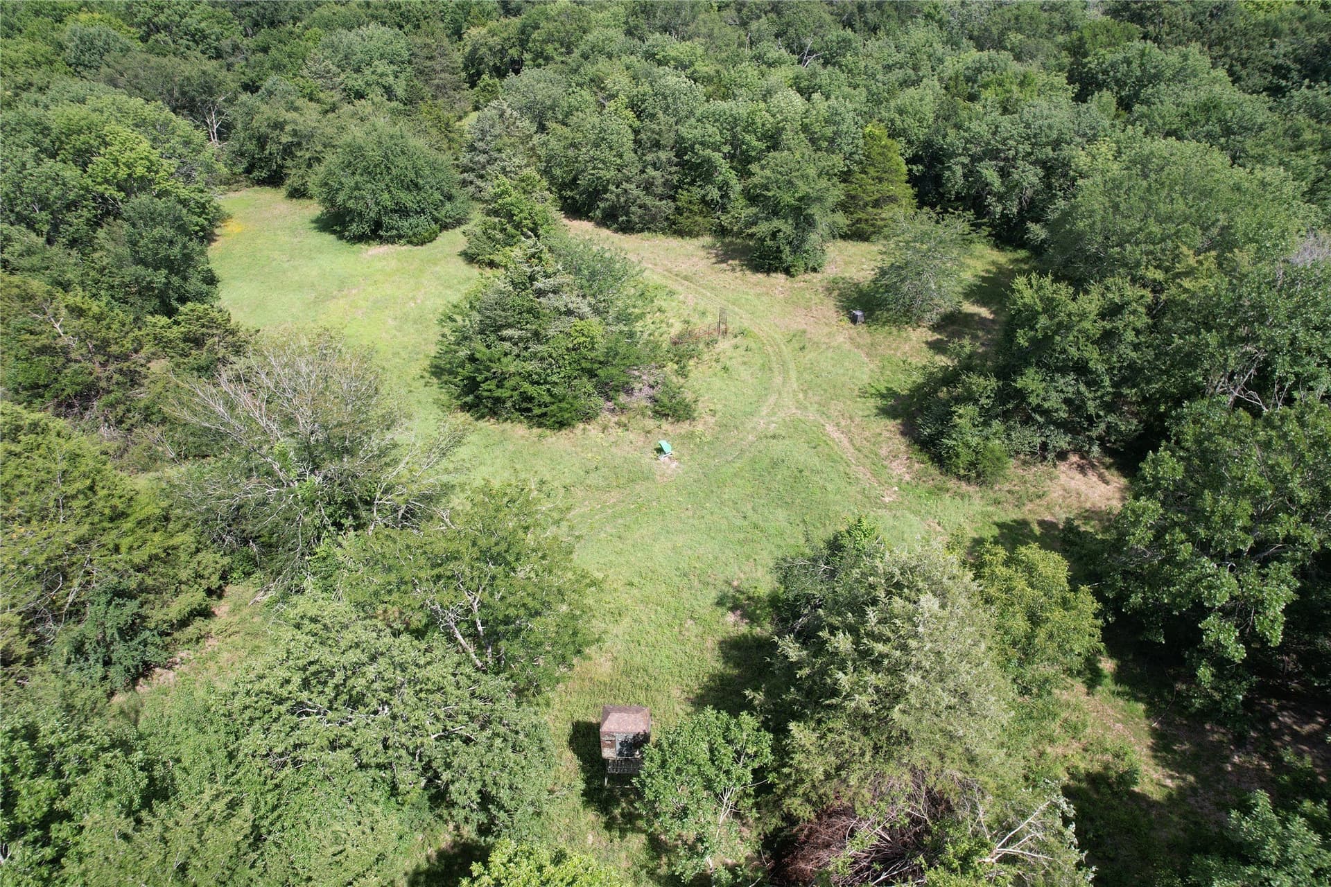 60.4 acres in Hopkins County - photo 18