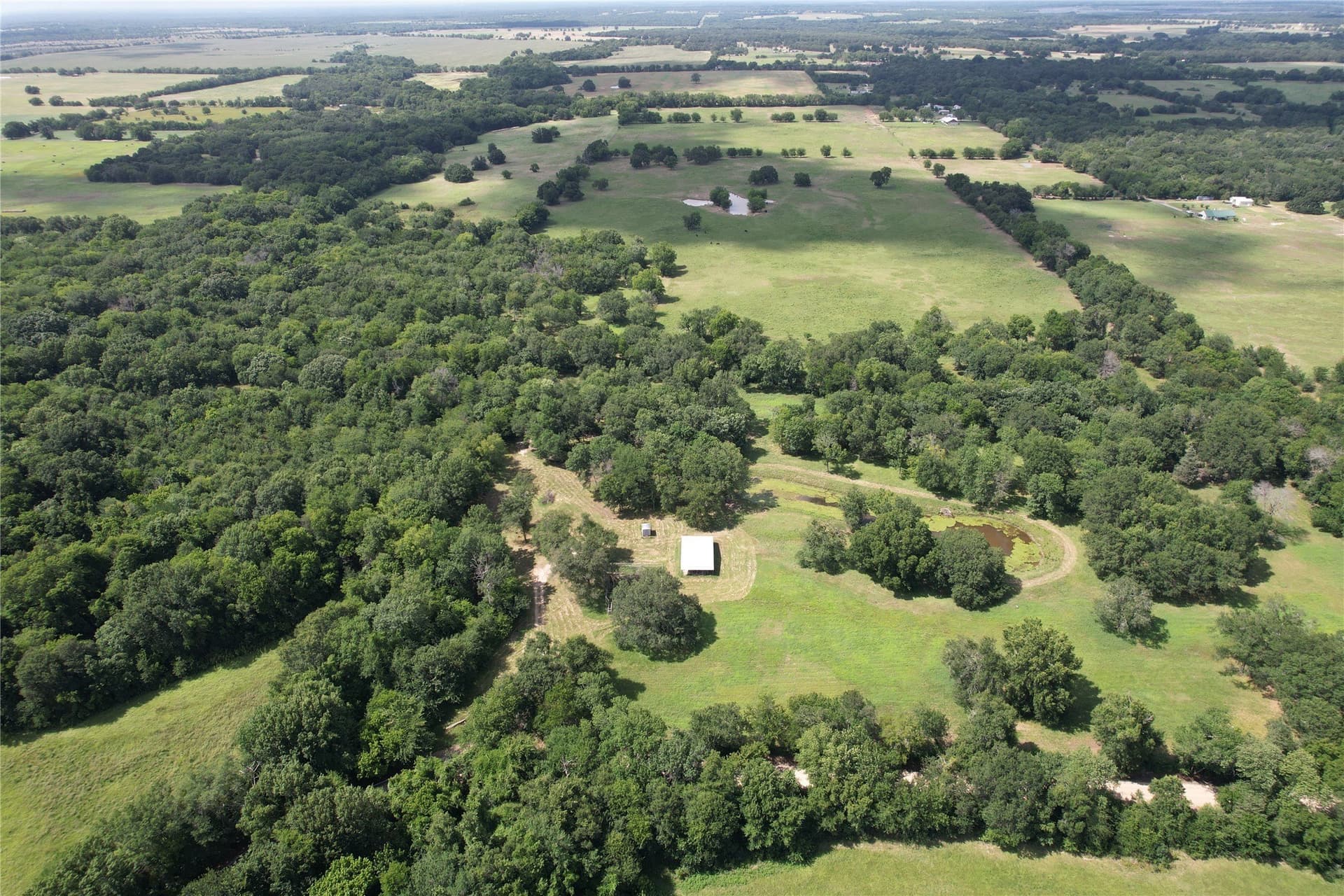 60.4 acres in Hopkins County - photo 5