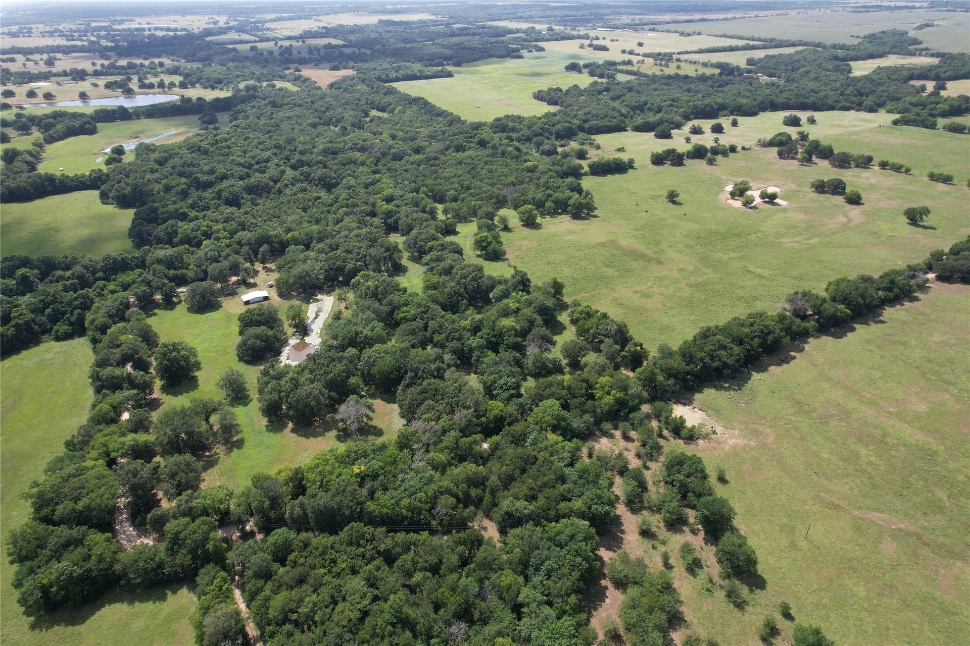 60.4 acres in Hopkins County - photo 8