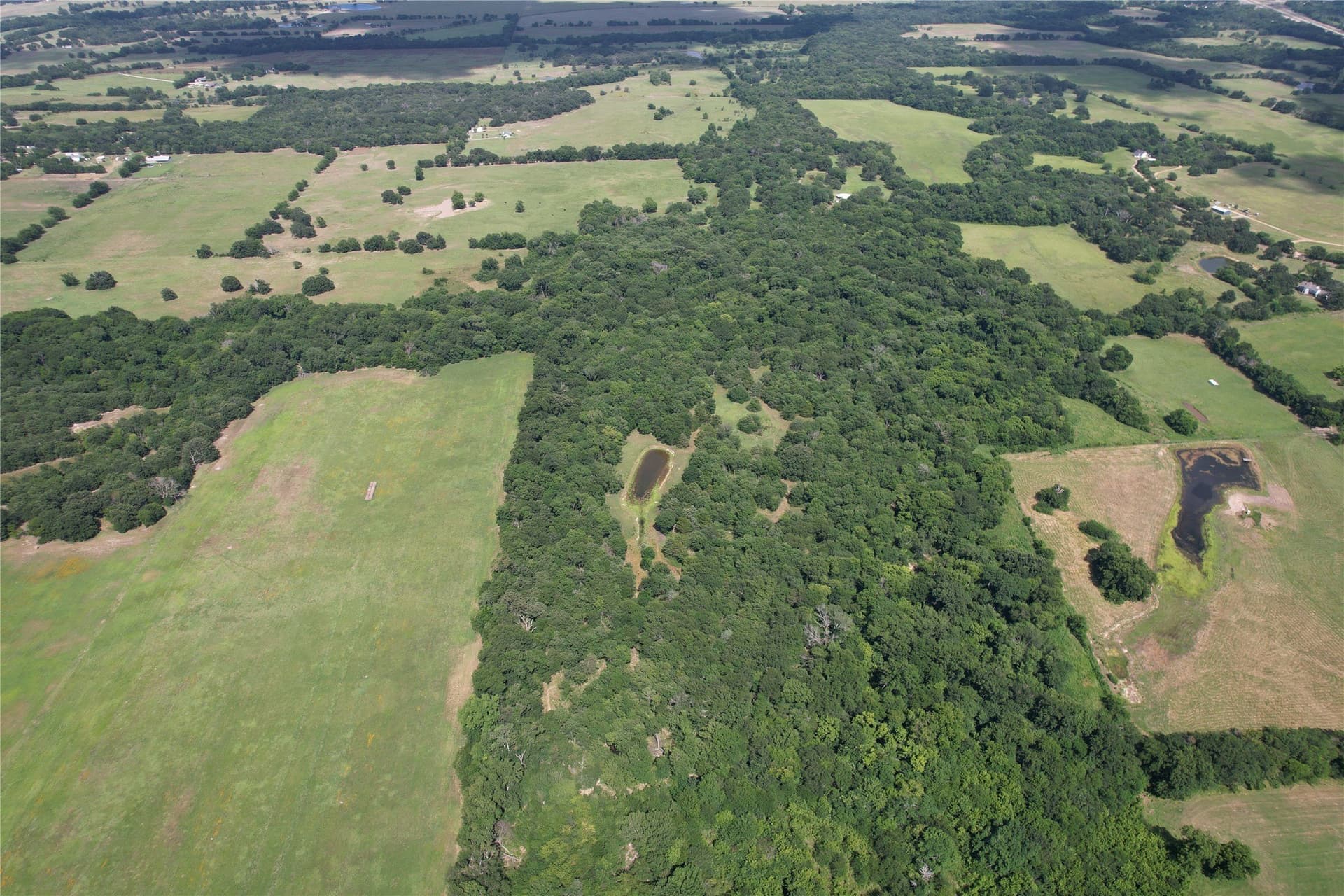60.4 acres in Hopkins County - photo 13