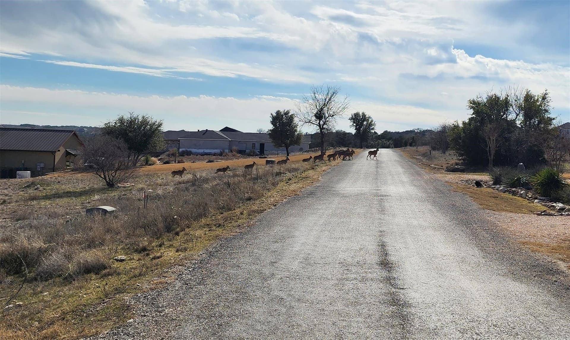 2.9 acres in Palo Pinto County - photo 9