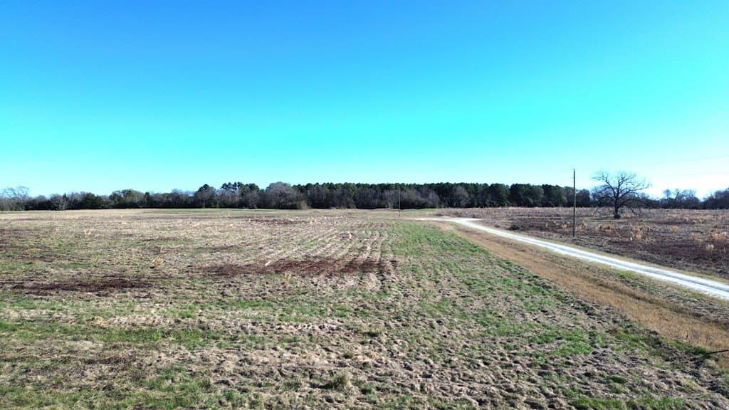 10.01 acres in Texas County featured view