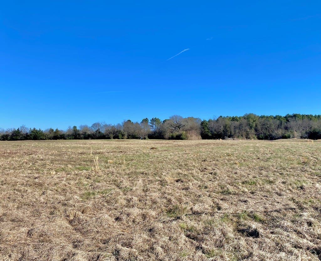 10.01 acres in Texas County - photo 16