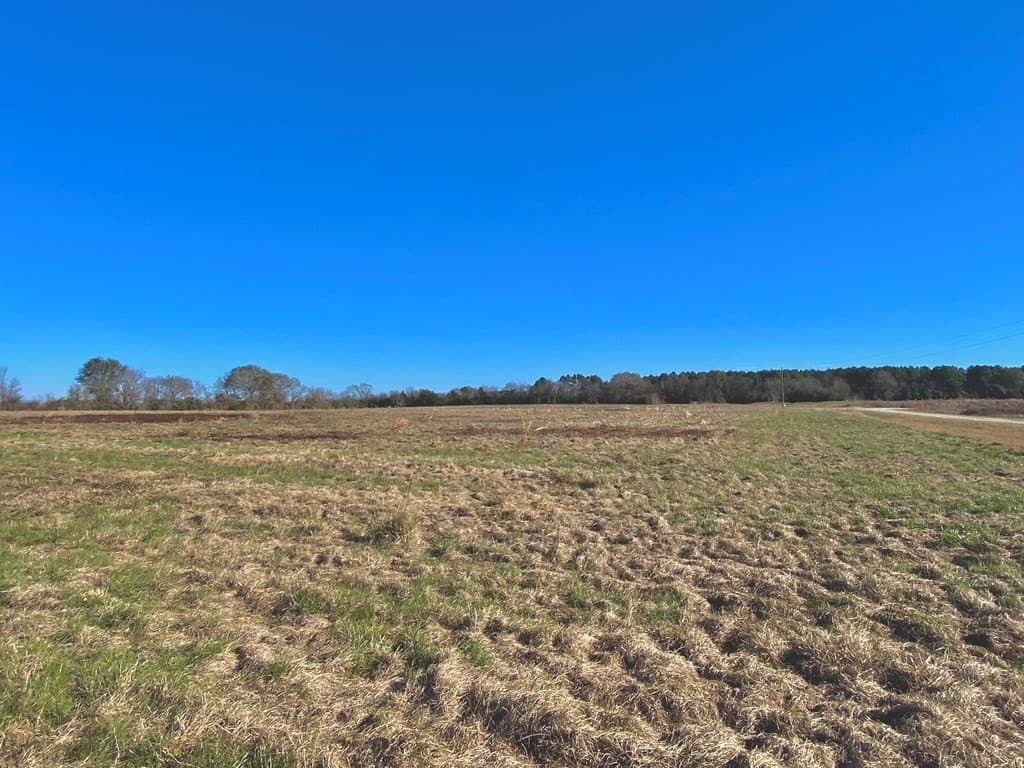 10.01 acres in Texas County - photo 13