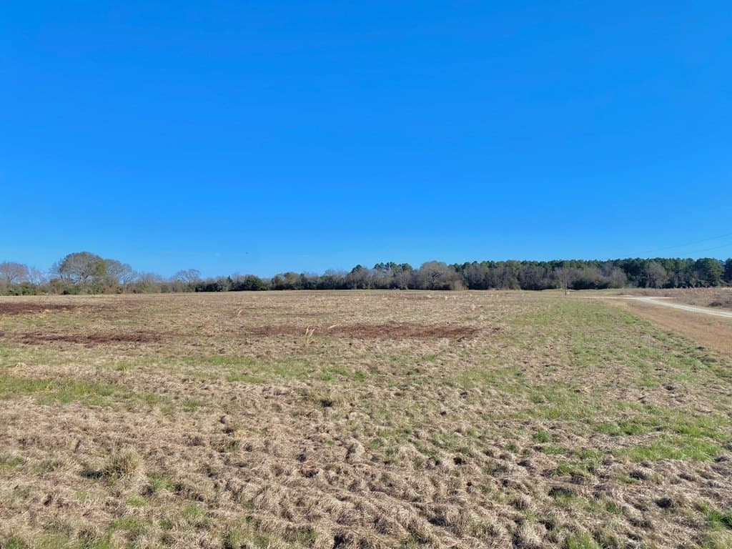 10.01 acres in Texas County - photo 15