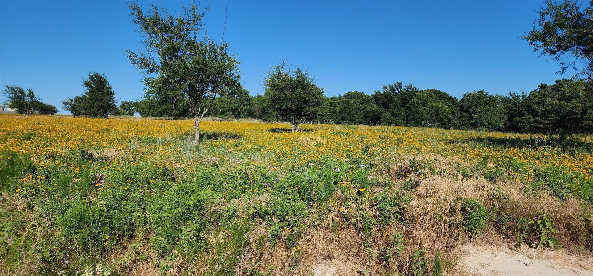 1.89 acres in Parker County gallery image 2