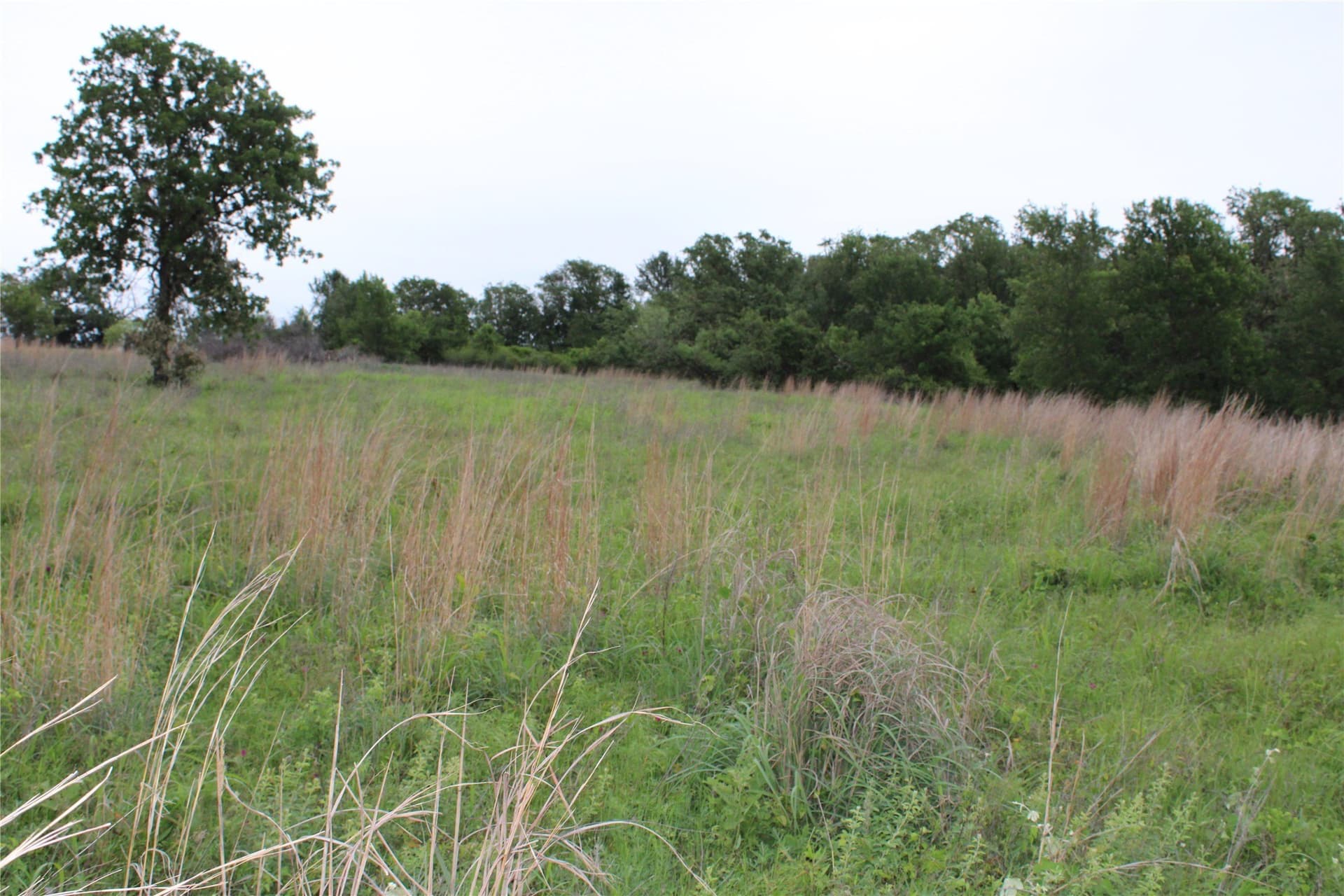 1.89 acres in Parker County gallery image 3