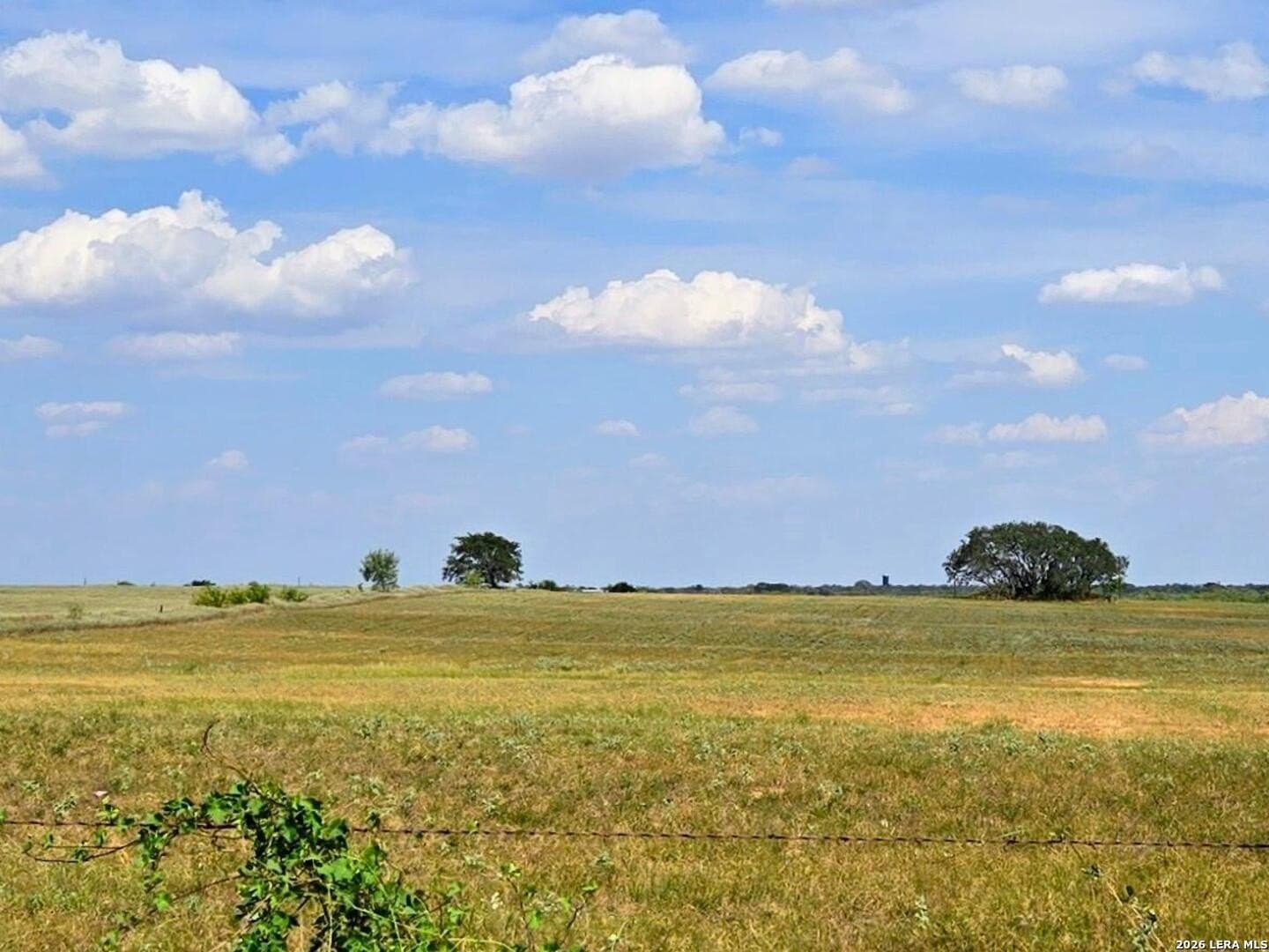 23.45 acres in Frio County gallery image 2