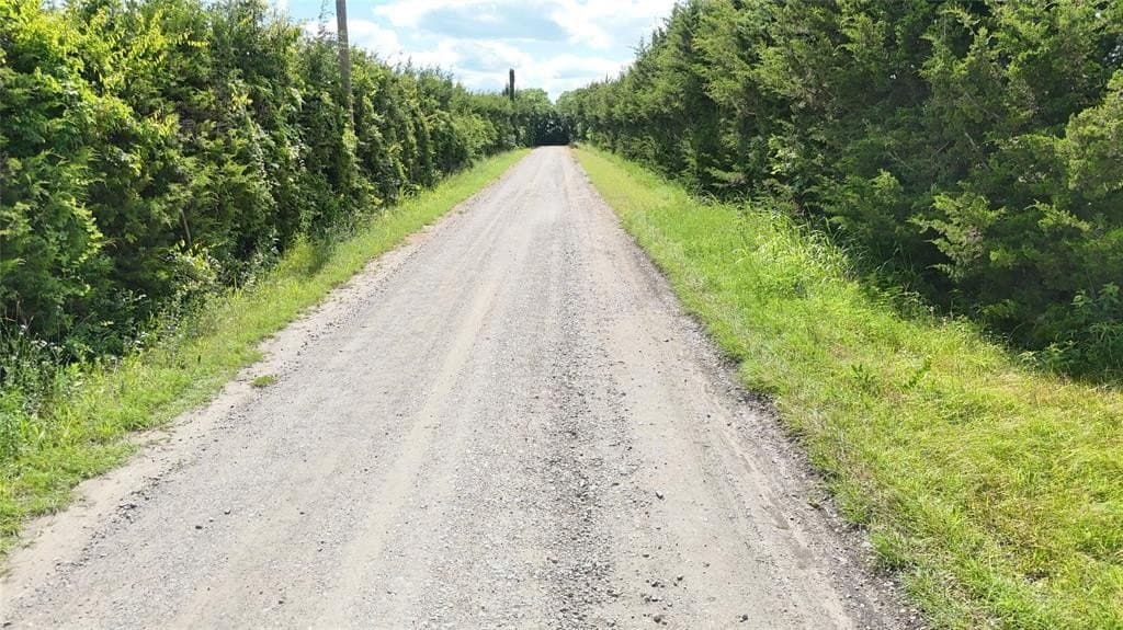 1.82 acres in Fannin County gallery image 4