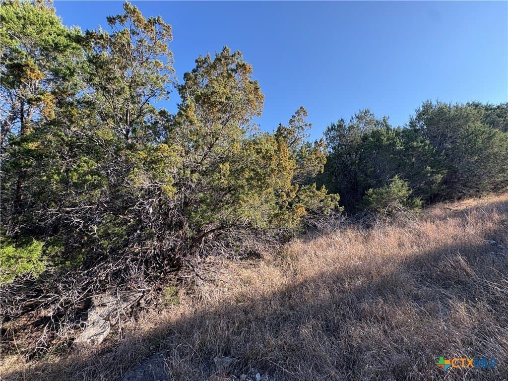 4.66 acres in Burnet County gallery image 3