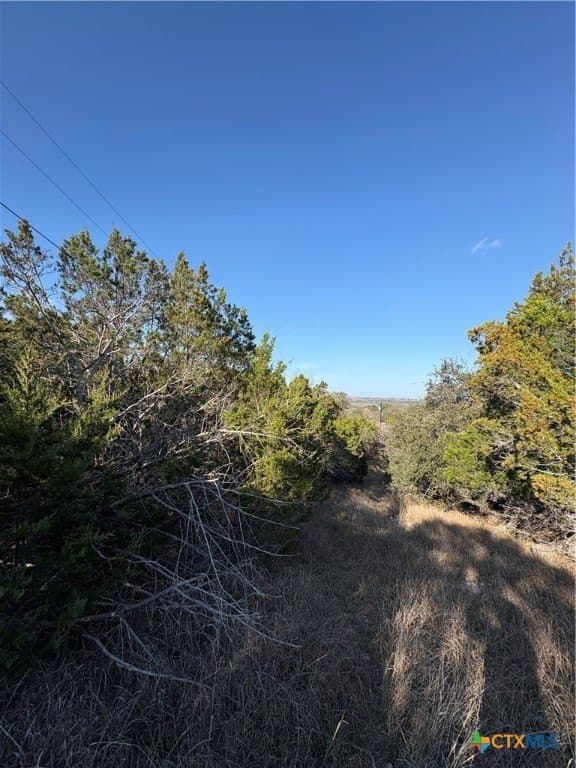 4.66 acres in Burnet County featured view