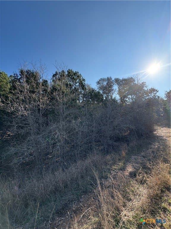 4.66 acres in Burnet County gallery image 4