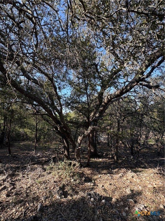 4.66 acres in Burnet County gallery image 2