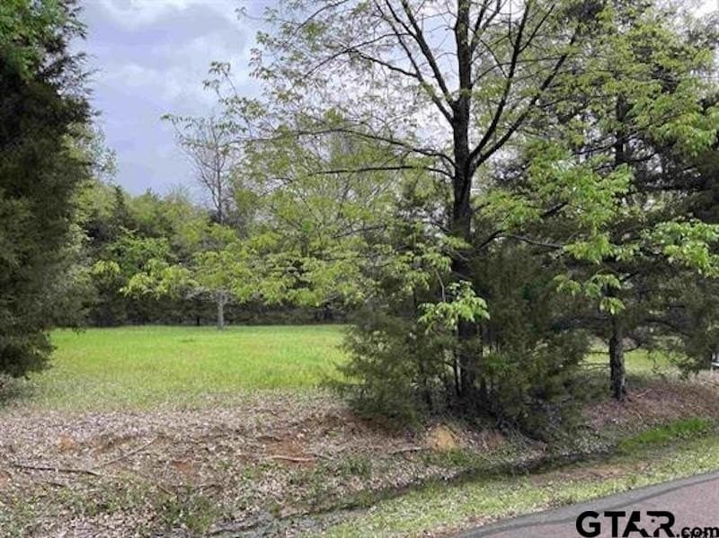 0.33 acres in Franklin County - photo 4