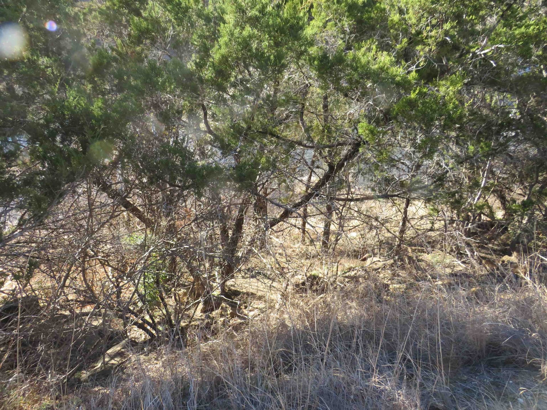 0 acres in Burnet County gallery image 2