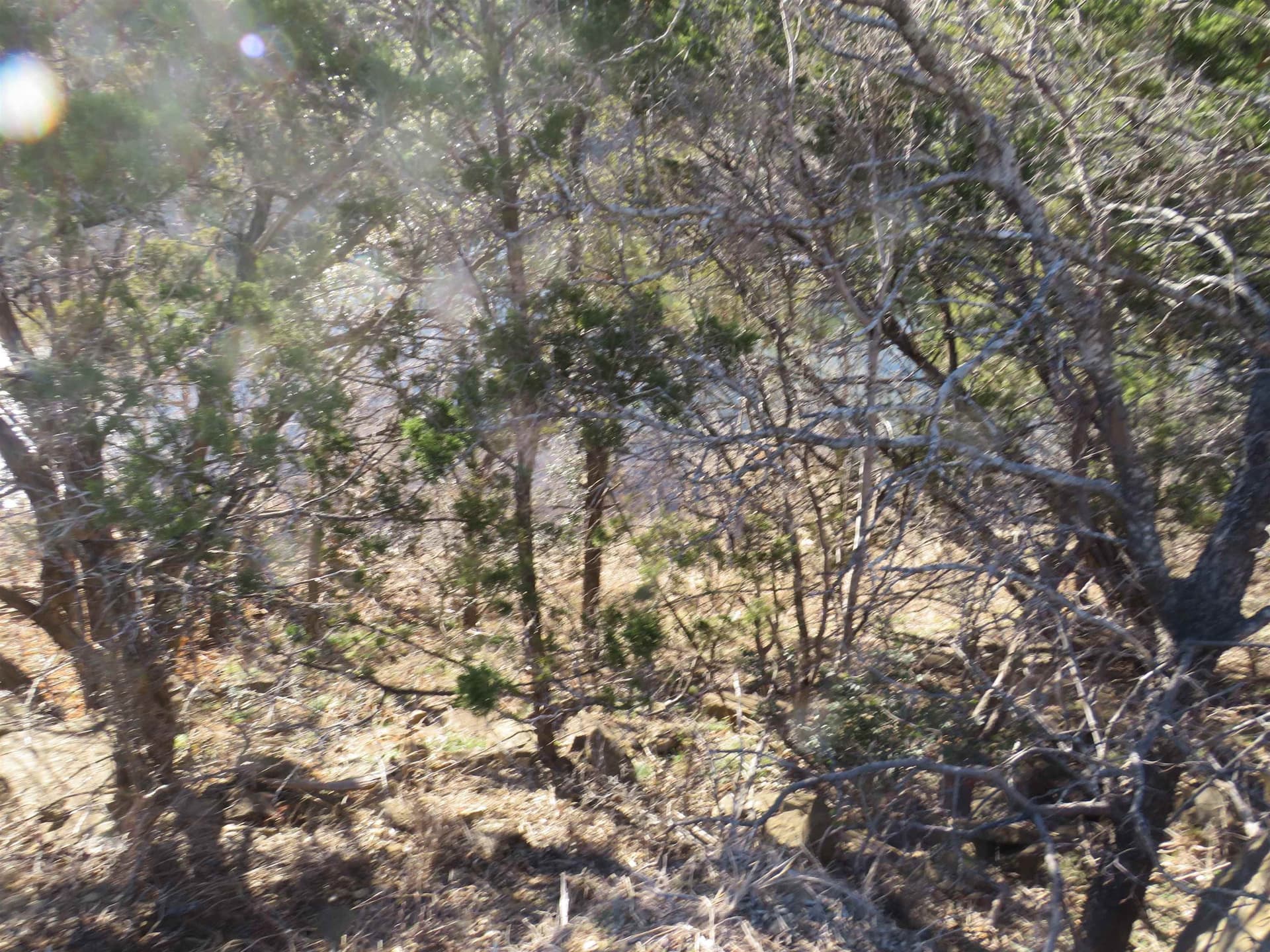0 acres in Burnet County featured view