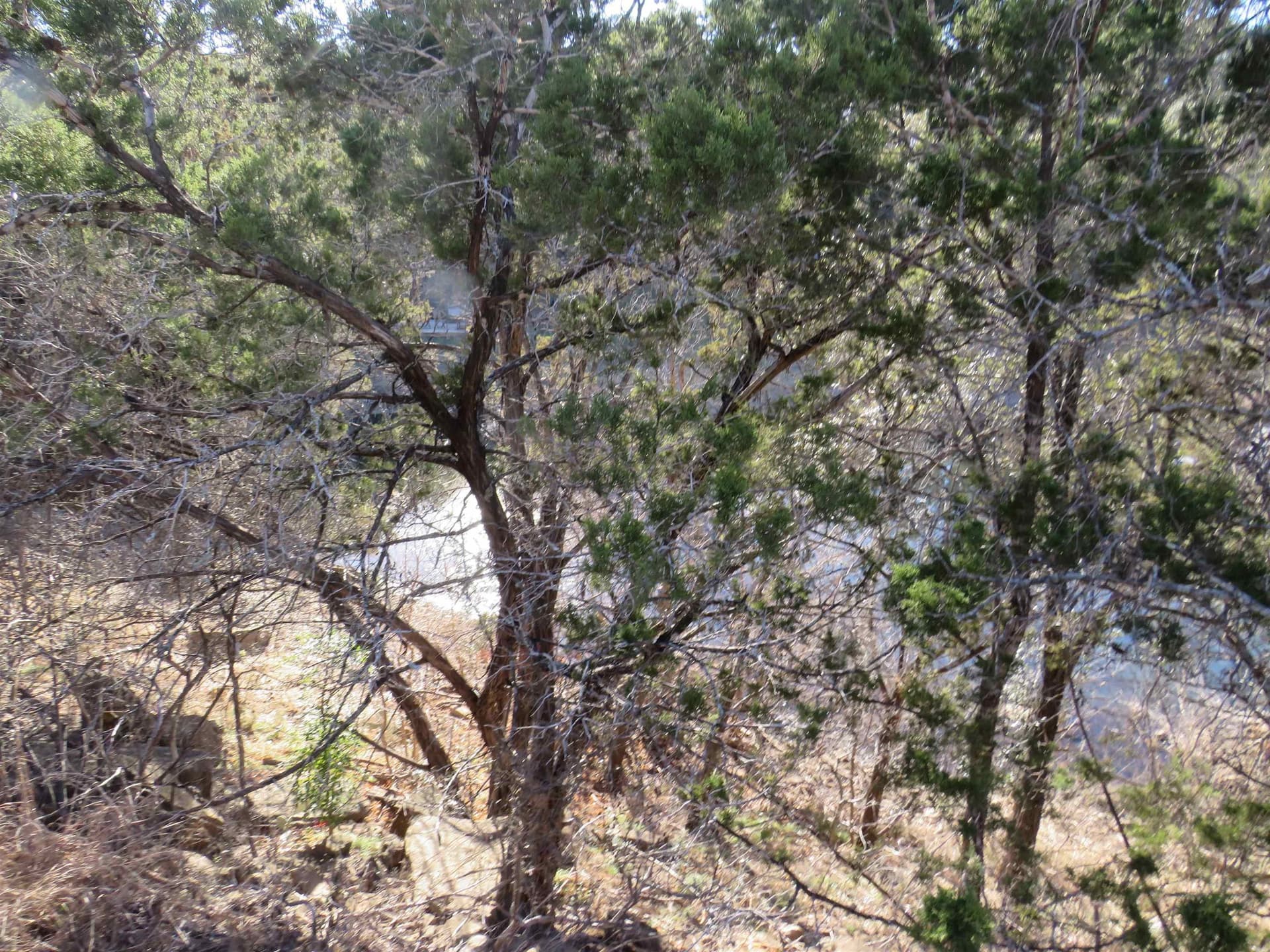 0 acres in Burnet County