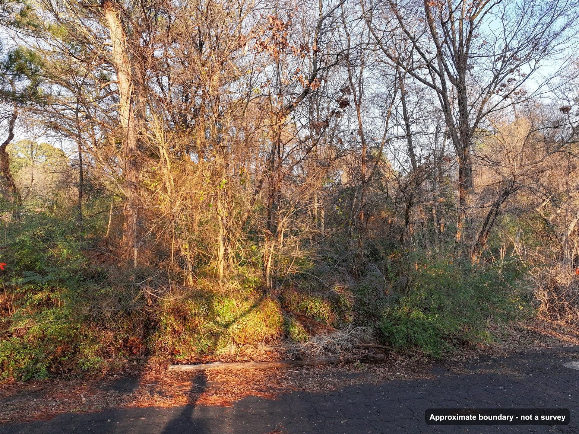 0.24 acres in Wood County - photo 13